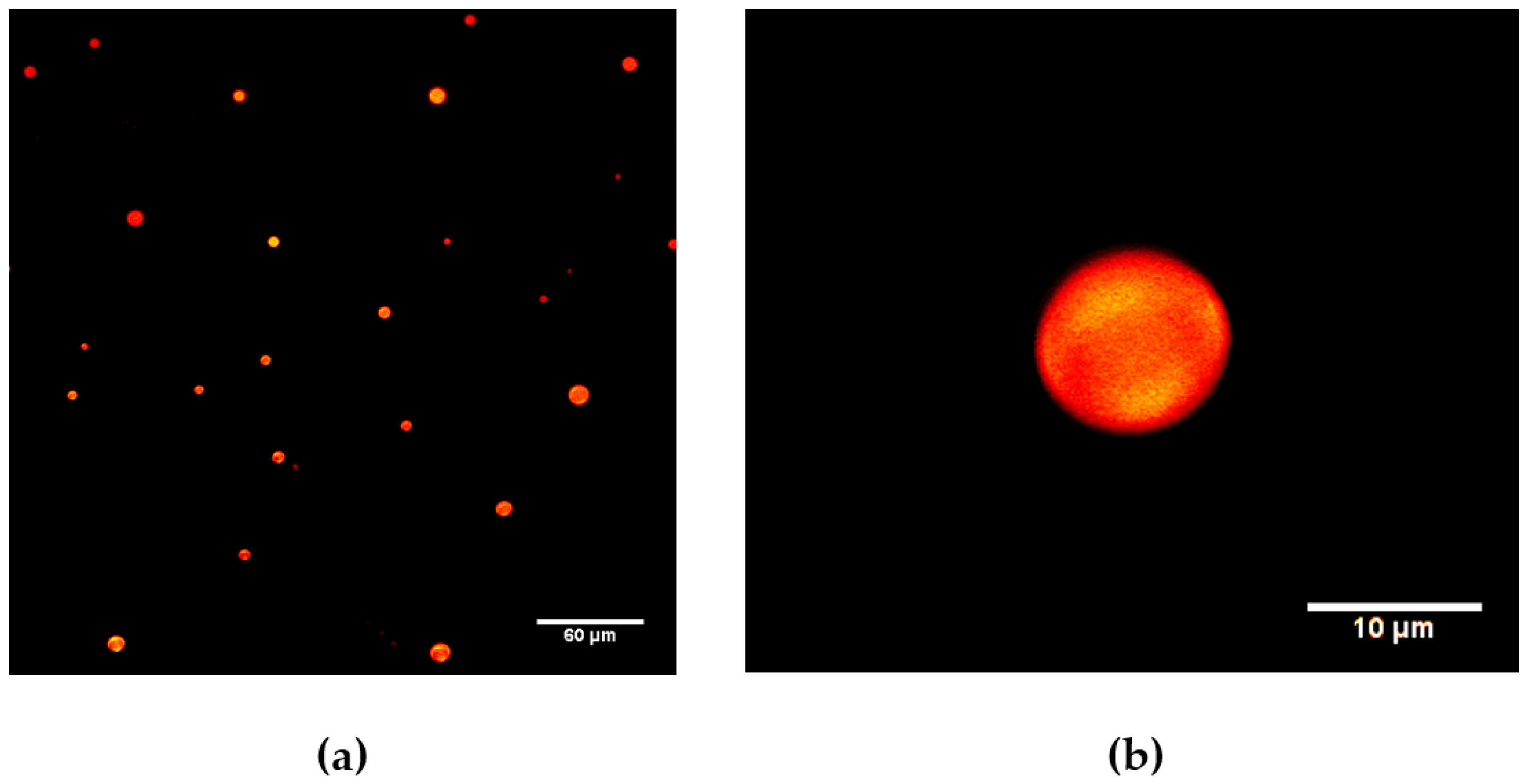 Molecules 23 00969 g002 Molecules 23 00969 g002