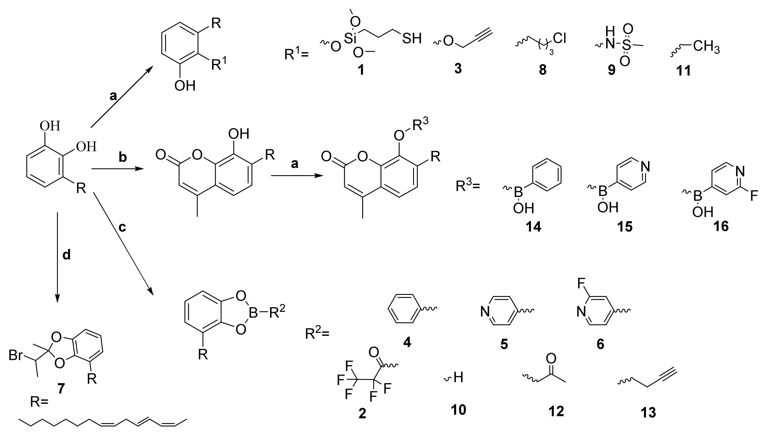 Molecules 23 01074 sch001