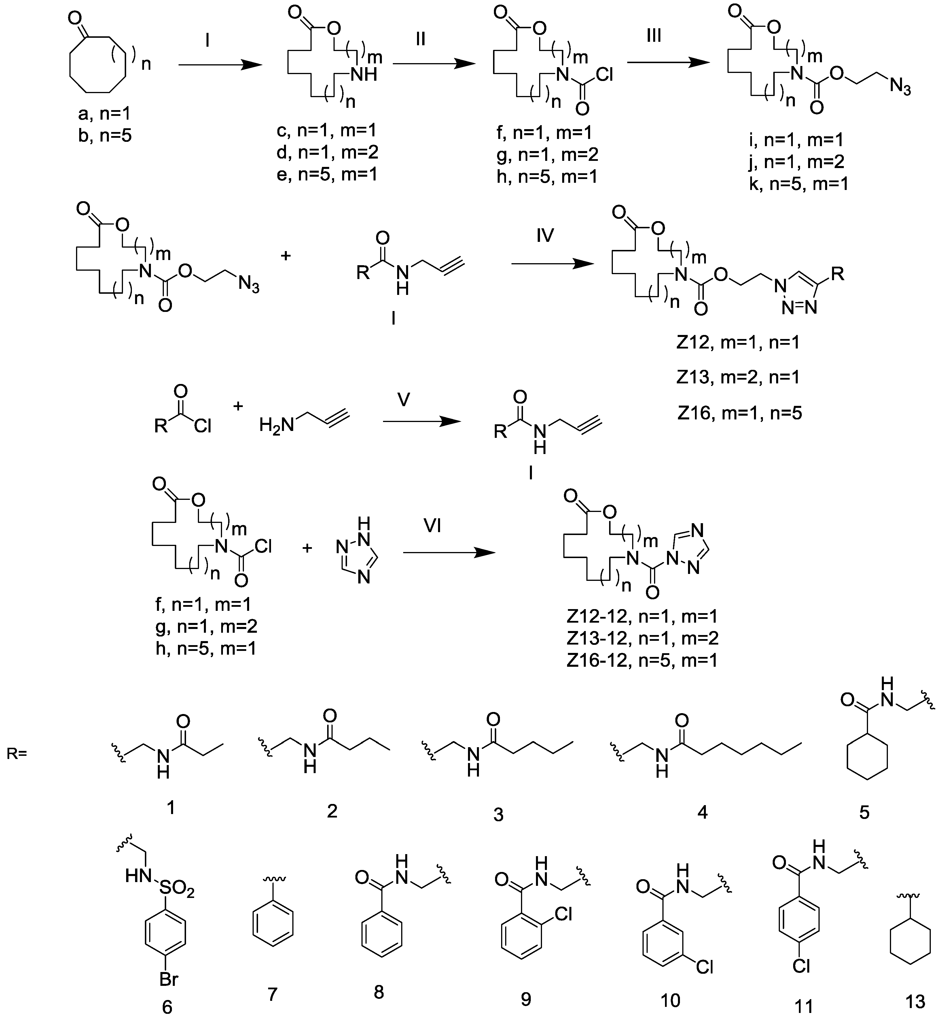 Molecules Free Full Text Synthesis And Biological Evaluation Of Azamacrolide Comprising The Triazole Moiety As Quorum Sensing Inhibitors Html