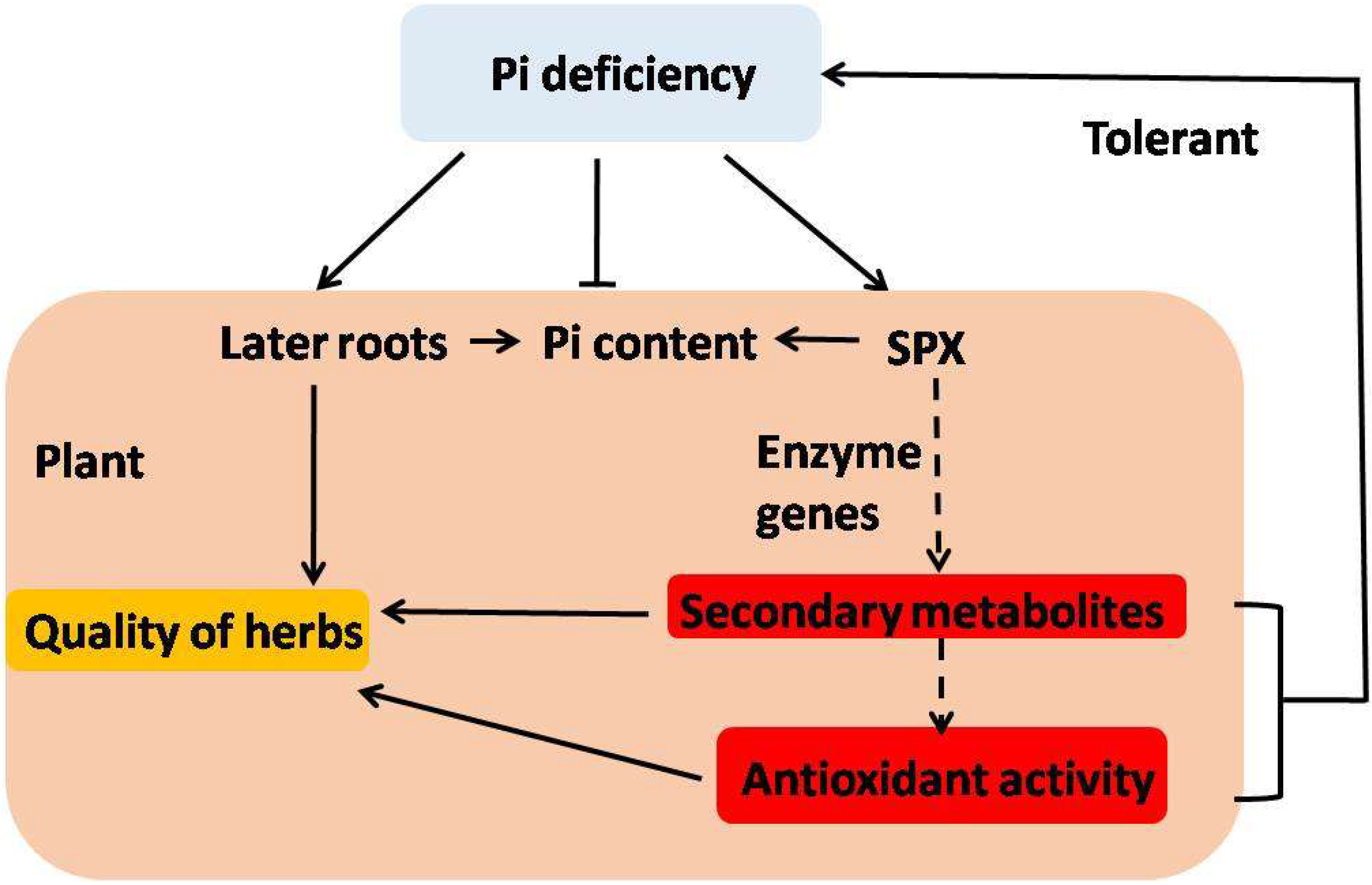 Molecules 23 01132 g008