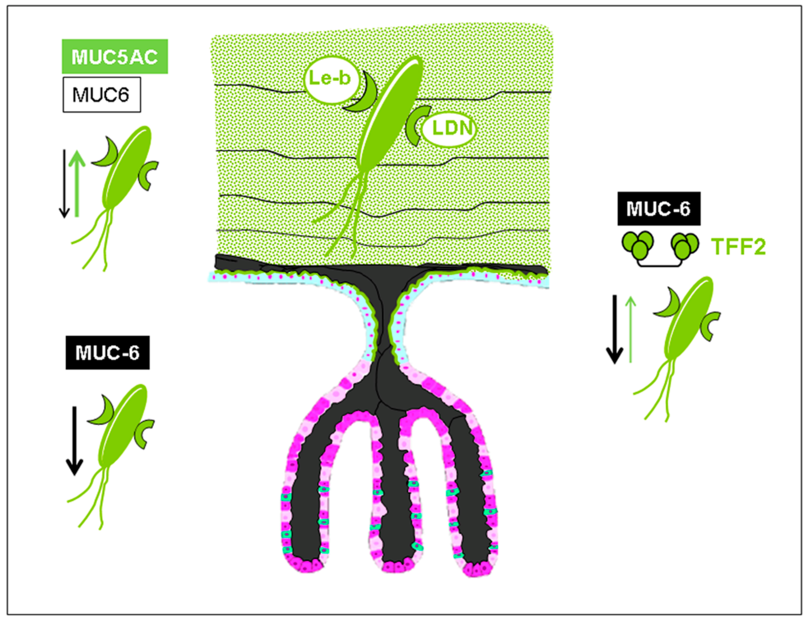 Molecules 23 01151 g002