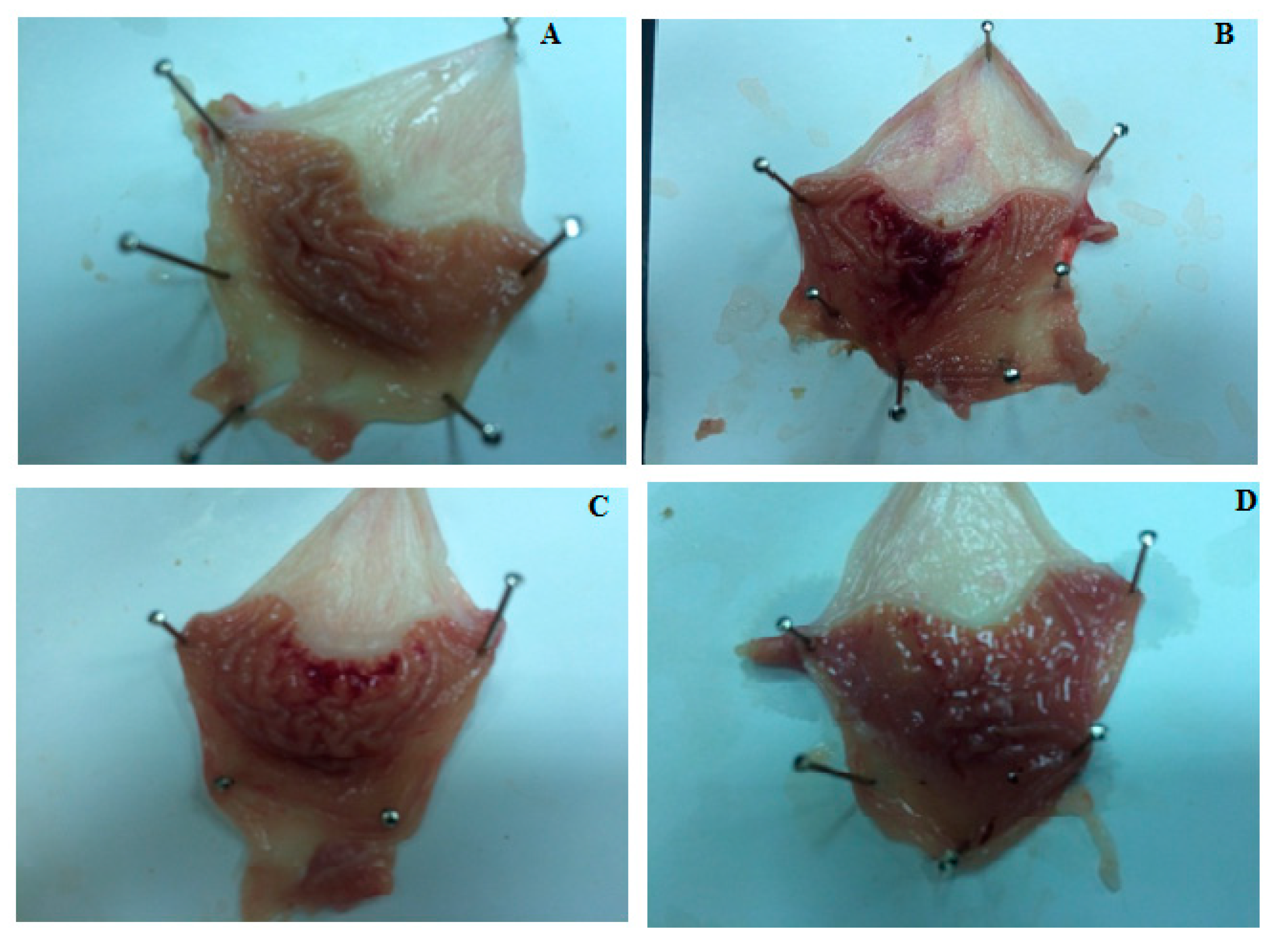 Molecules 23 01250 g001