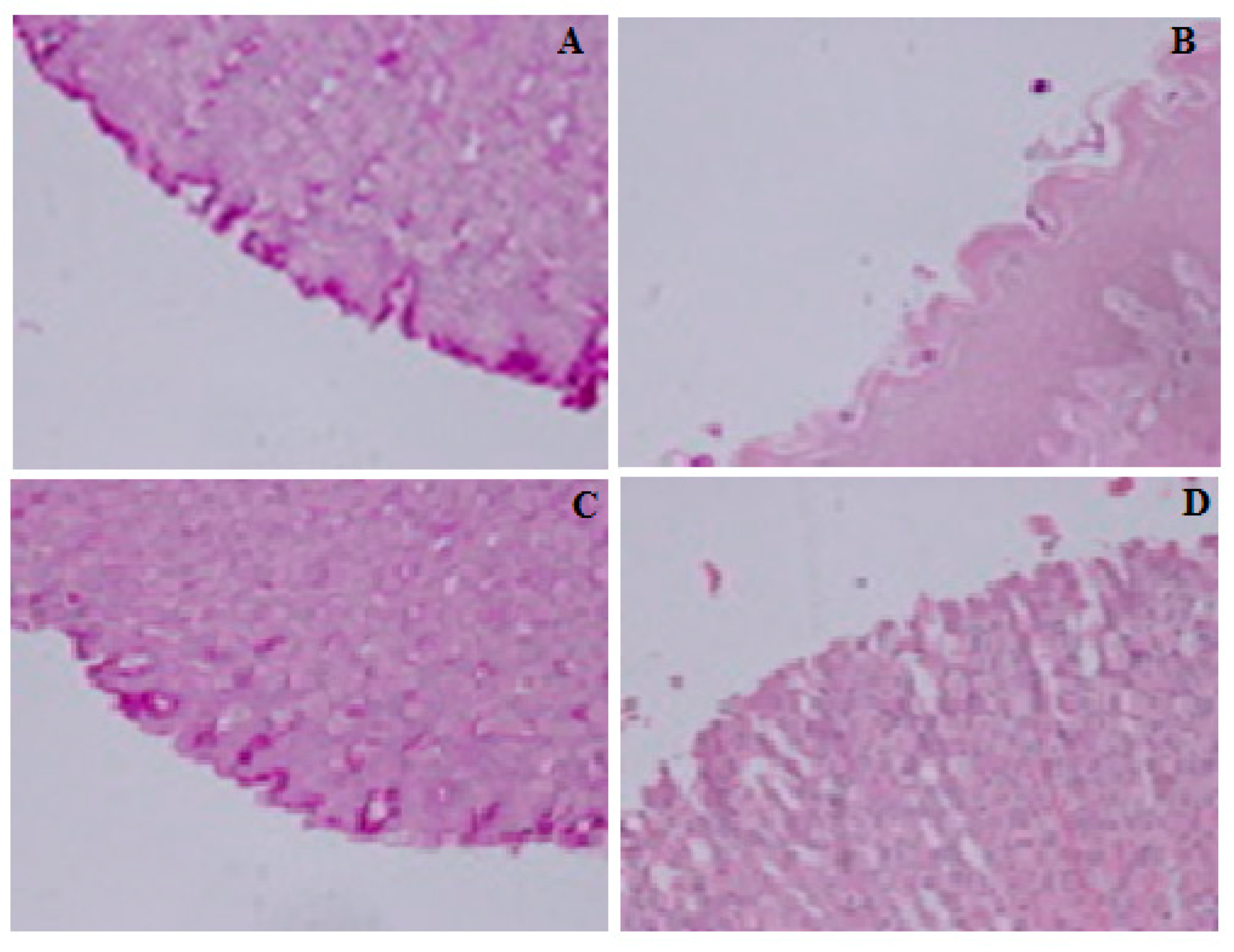 Molecules 23 01250 g002