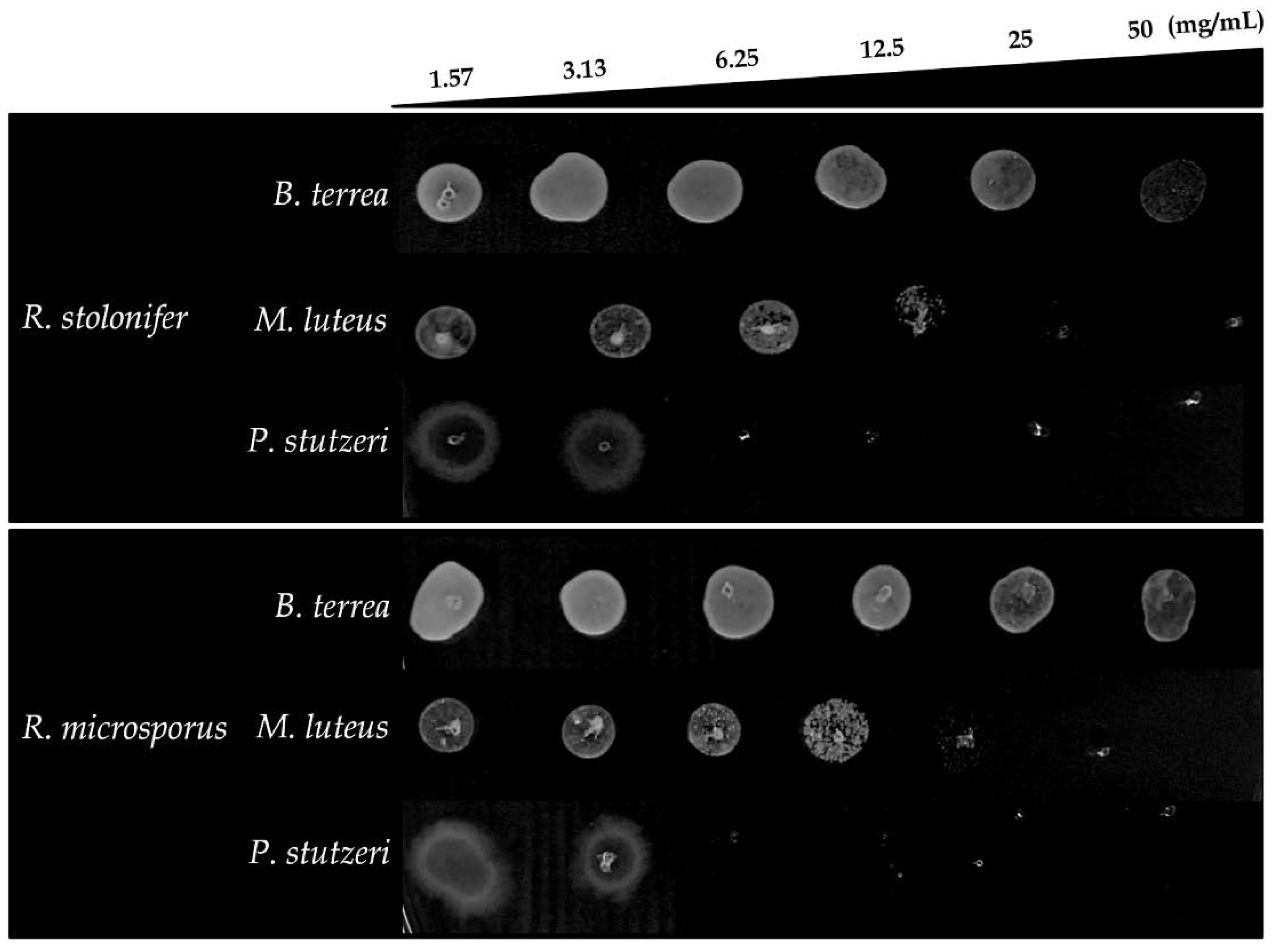 Molecules 23 01331 g003 Molecules 23 01331 g003