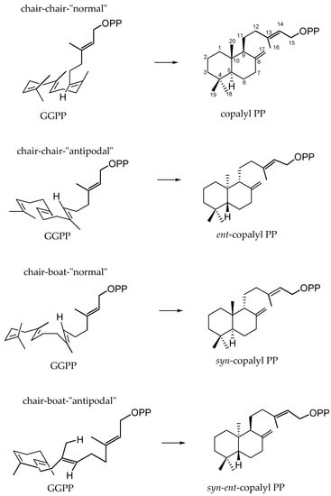 Molecules Free Full Text An Overview Of