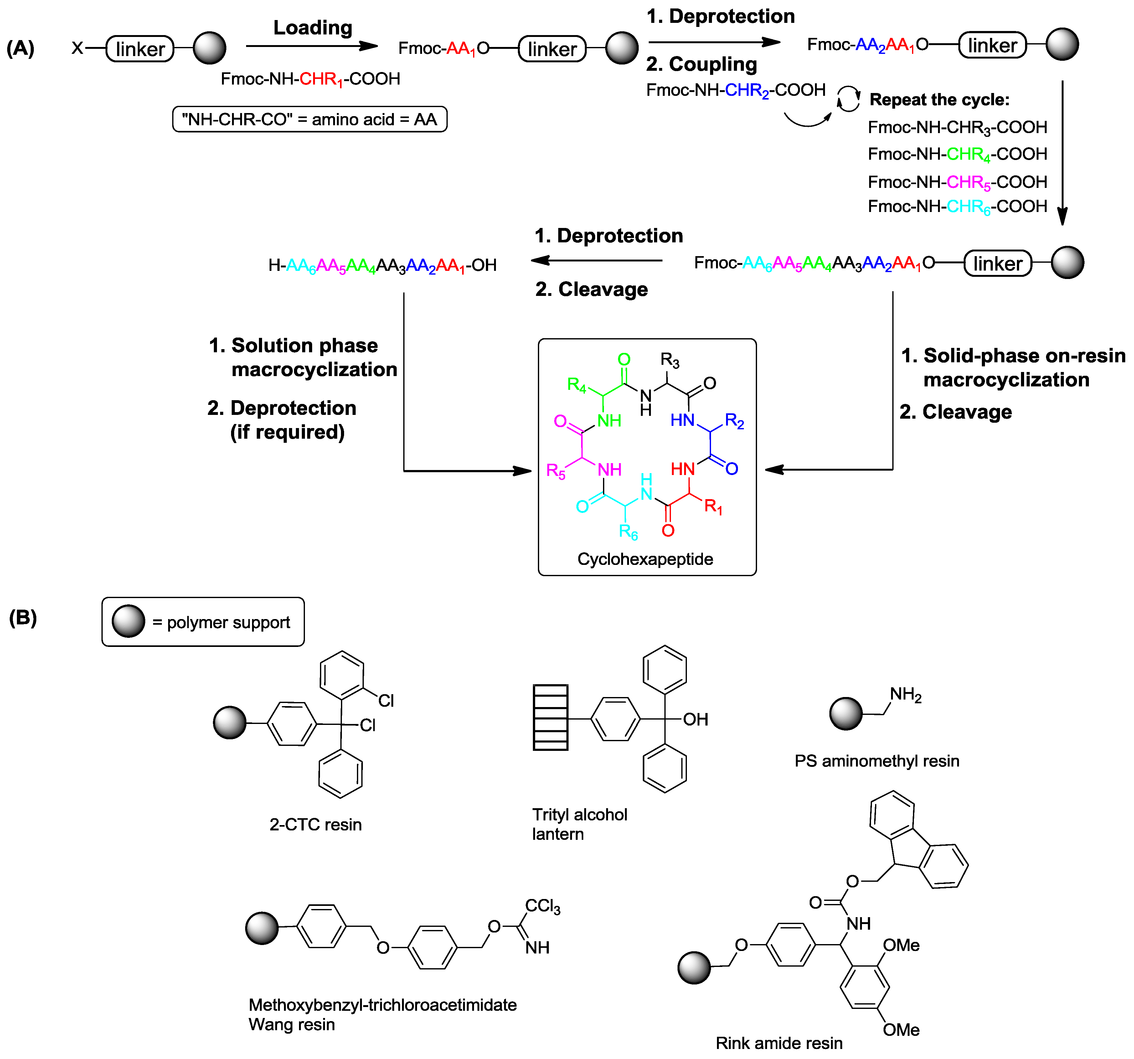 recent reports of solid phase cyclohexapeptide synthesis and applications