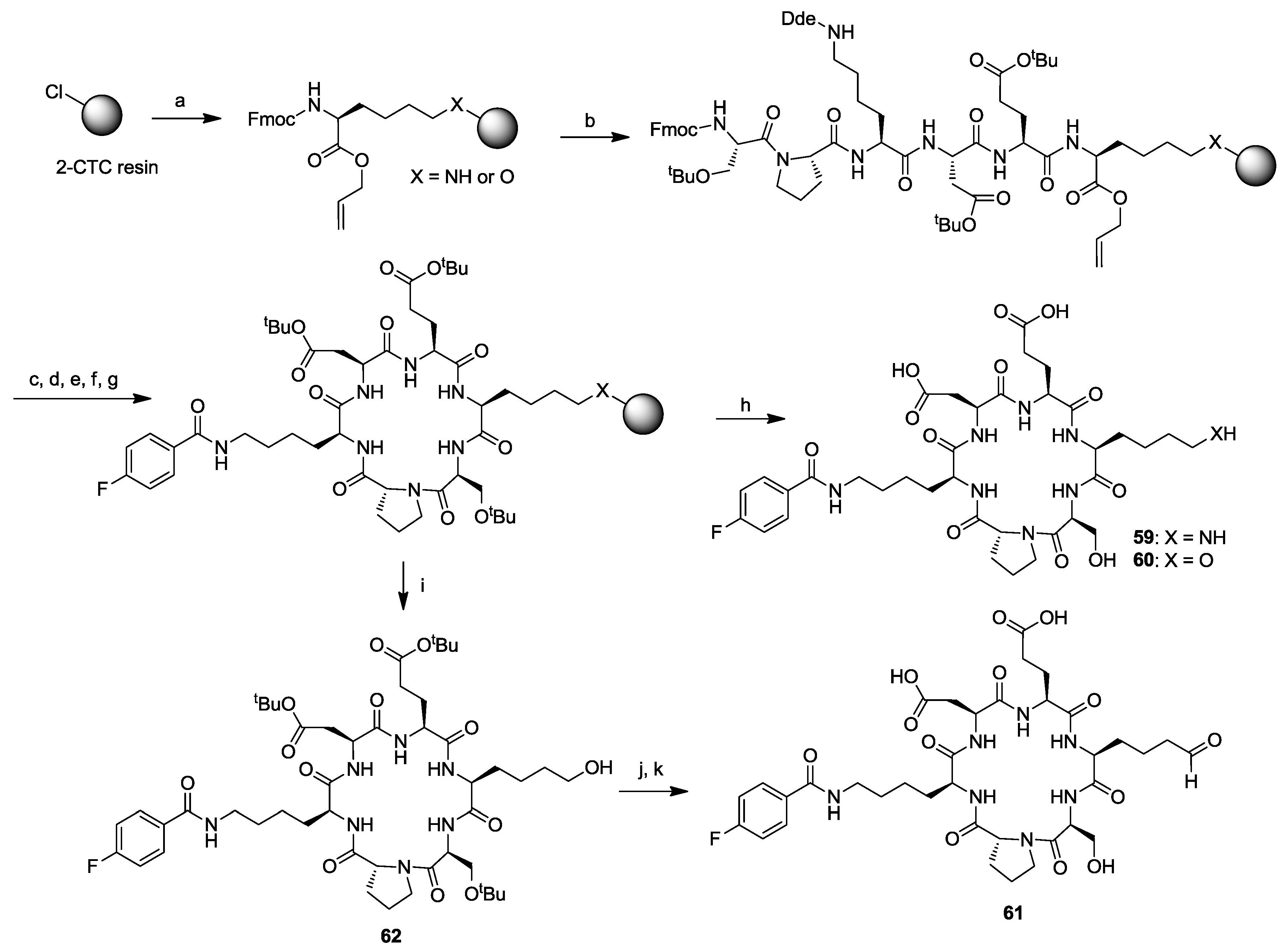 Molecules Free Full Text Recent Reports Of Solid Phase Cyclohexapeptide Synthesis And Applications Html