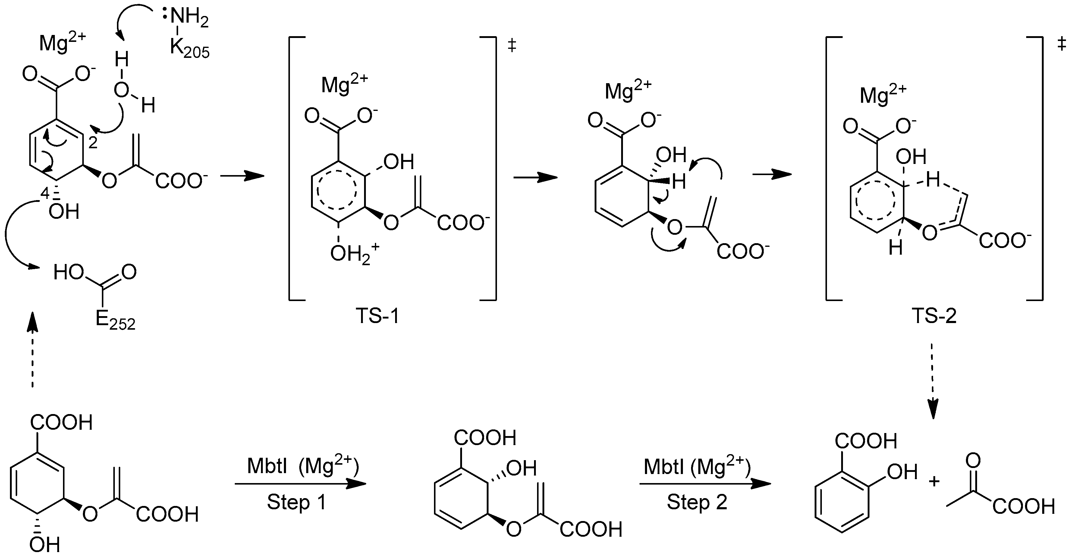Molecules 23 01506 sch001 Molecules 23 01506 sch001