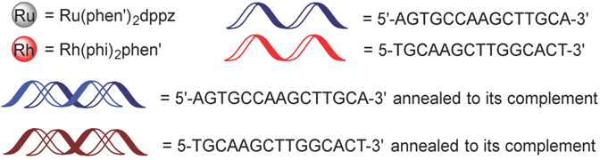 Molecules 23 01515 i006 Molecules 23 01515 i006