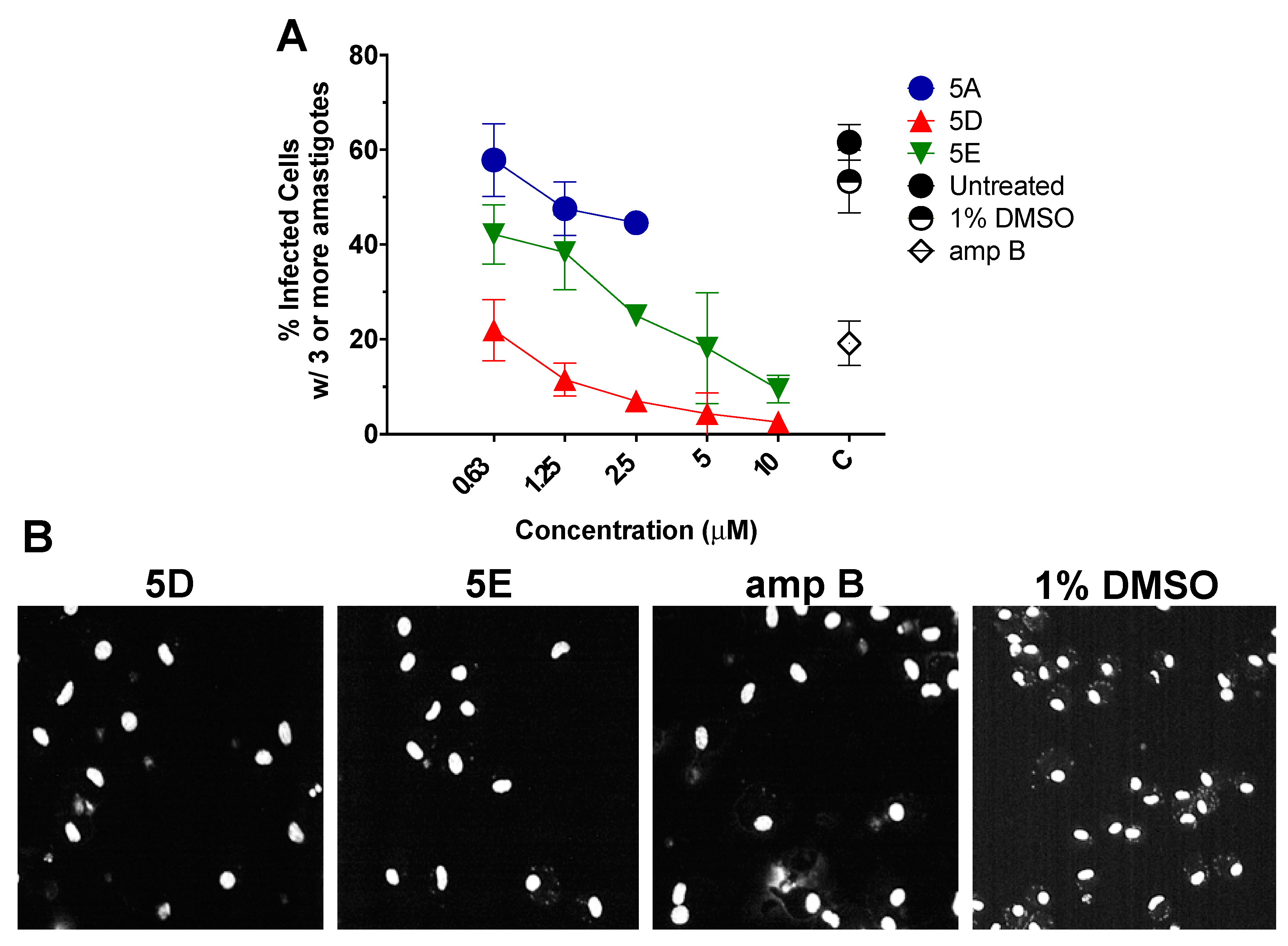 Molecules Free Full Text Development Of Thiophene