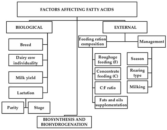 Molecules | Free Full-Text | Role of Fatty Acids in Milk Fat and the  Influence of Selected Factors on Their Variability—A Review