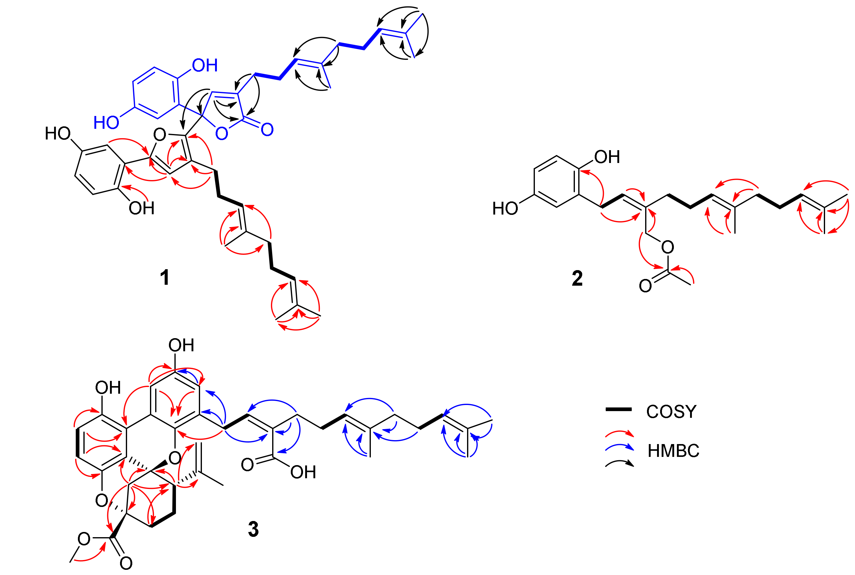 Molecules 23 01797 g002