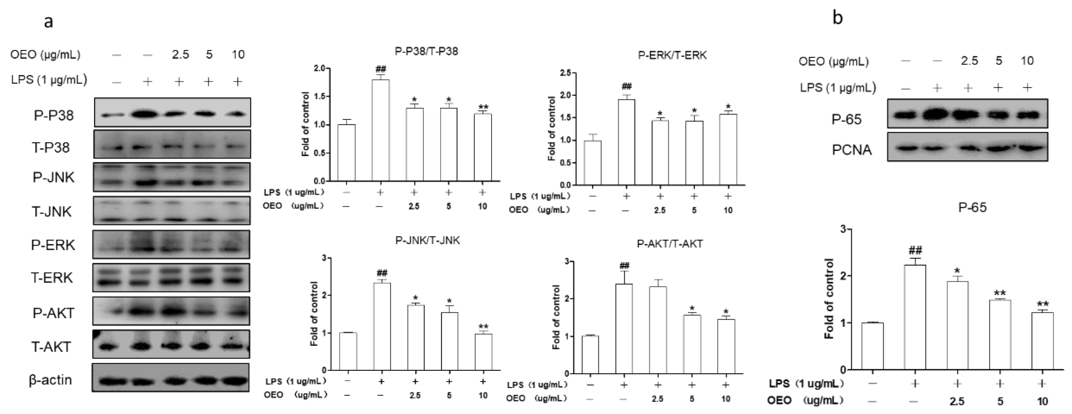 Molecules 23 01857 g002 Molecules 23 01857 g002