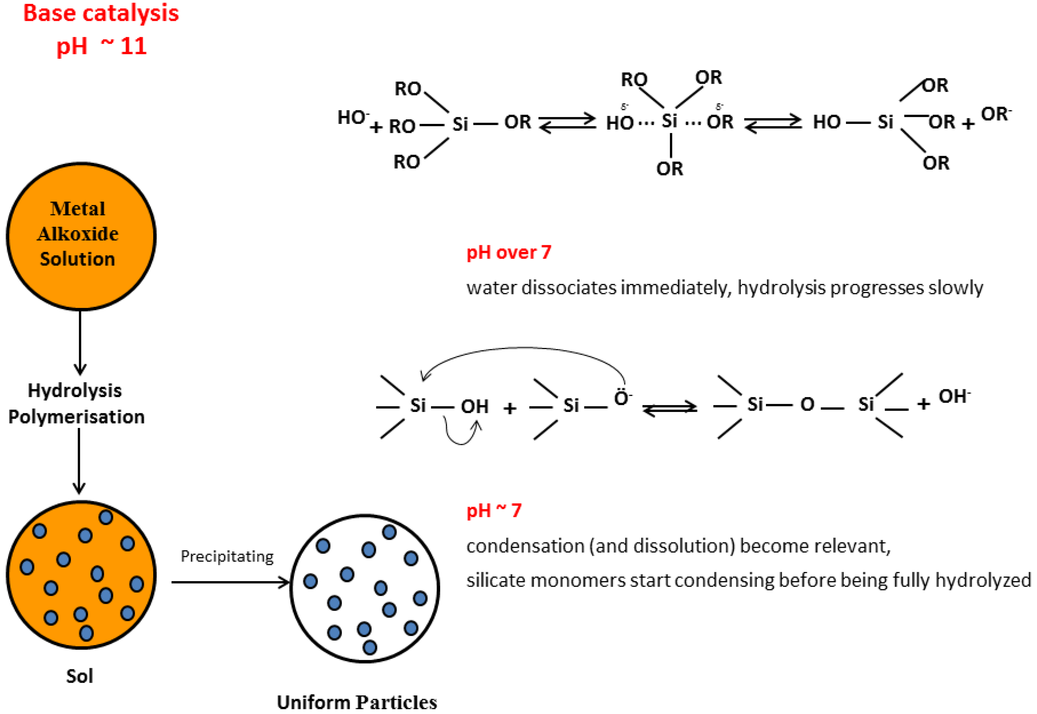 Molecules Free FullText SolGel Silica Nanoparticles in Medicine