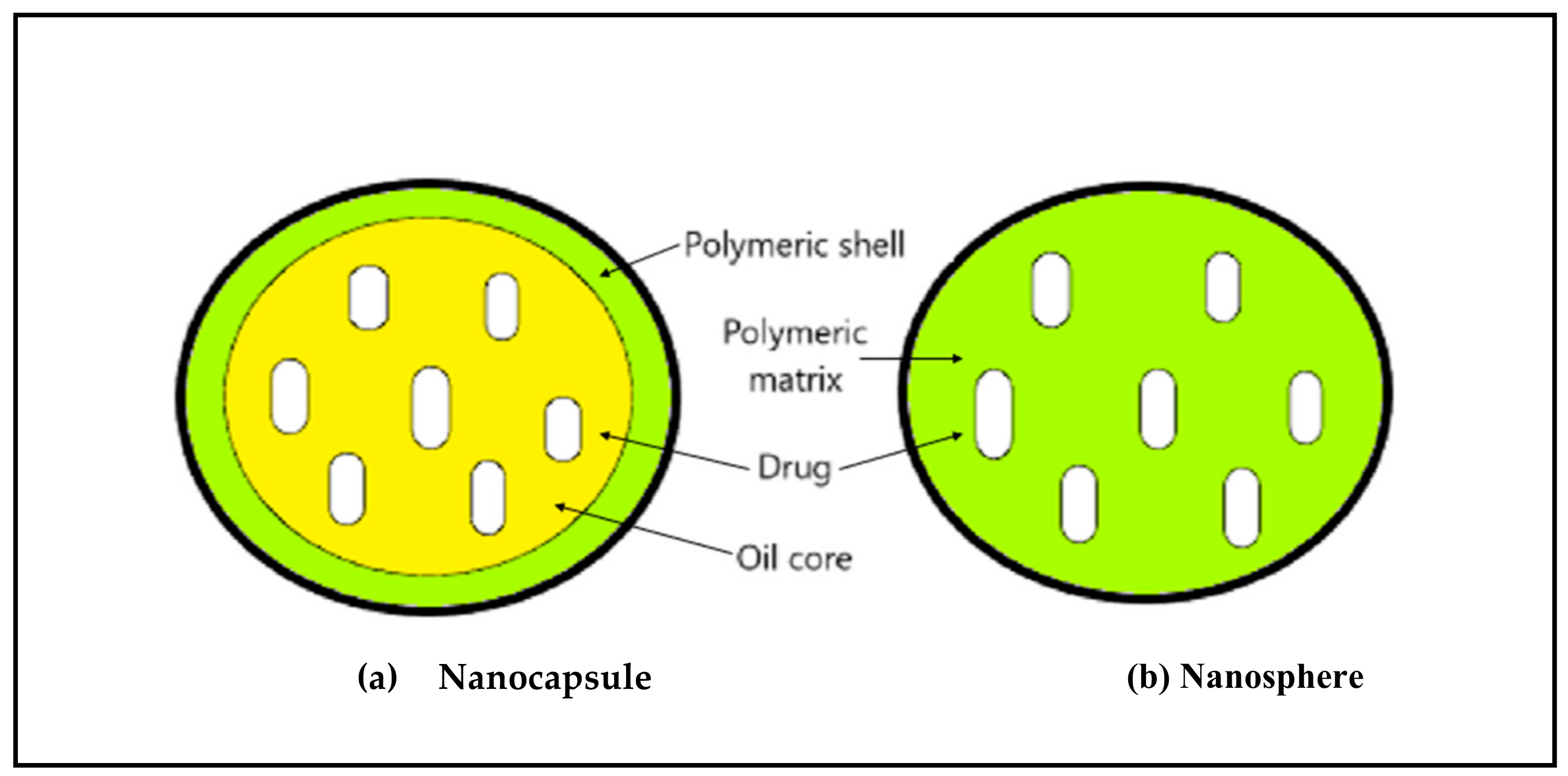 Molecules 23 02157 g003 Molecules 23 02157 g003