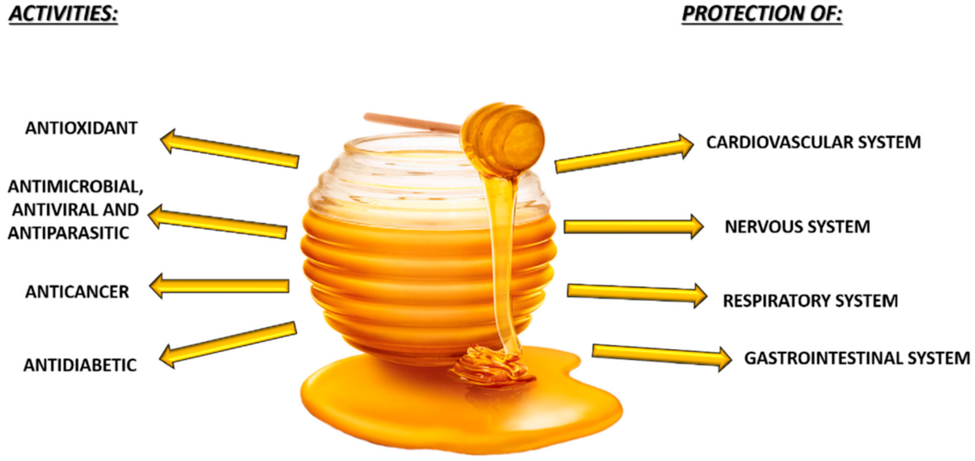  Medicinal Uses Of Honey Lare japan jp