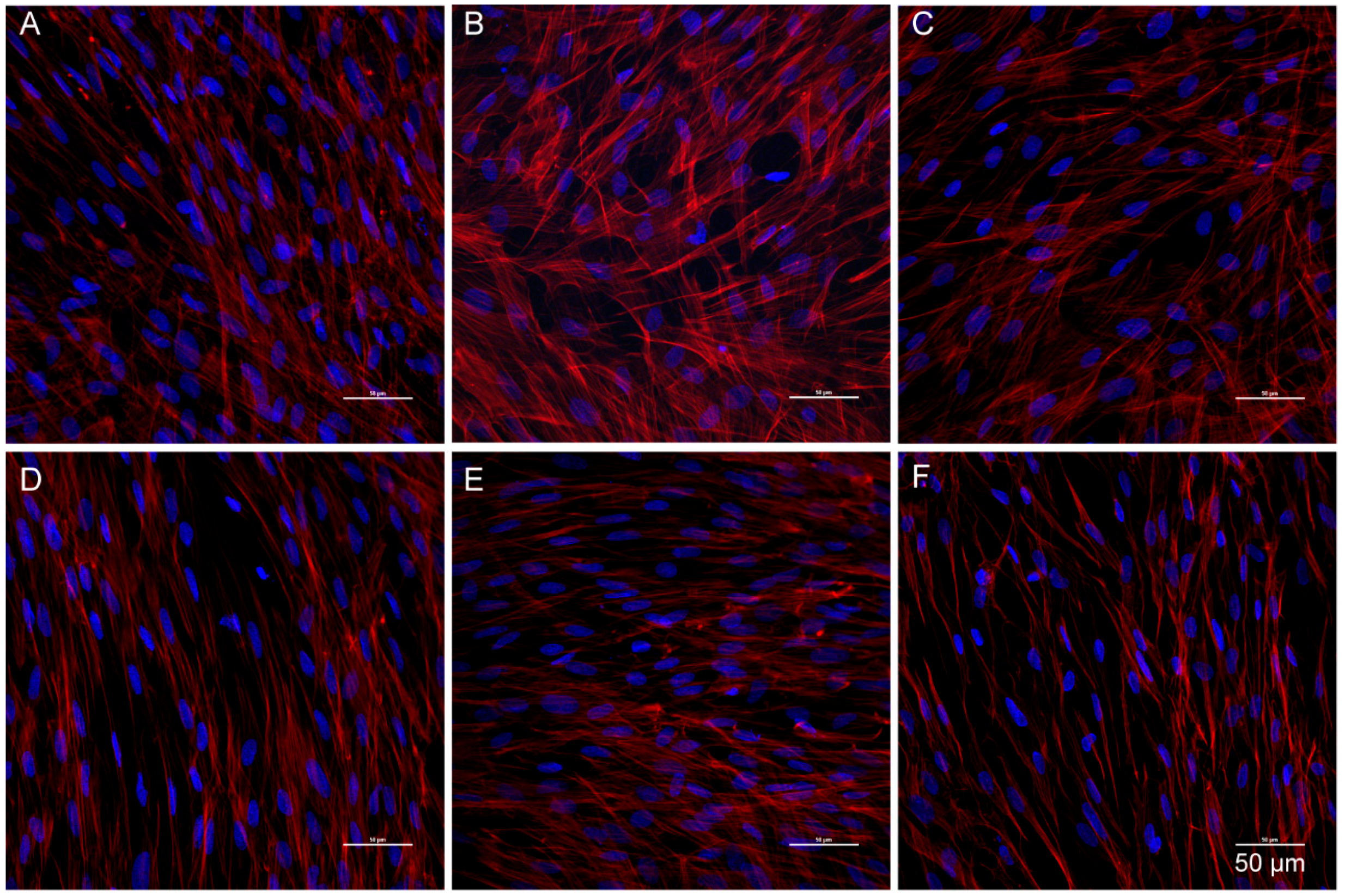 Molecules 23 02371 g006