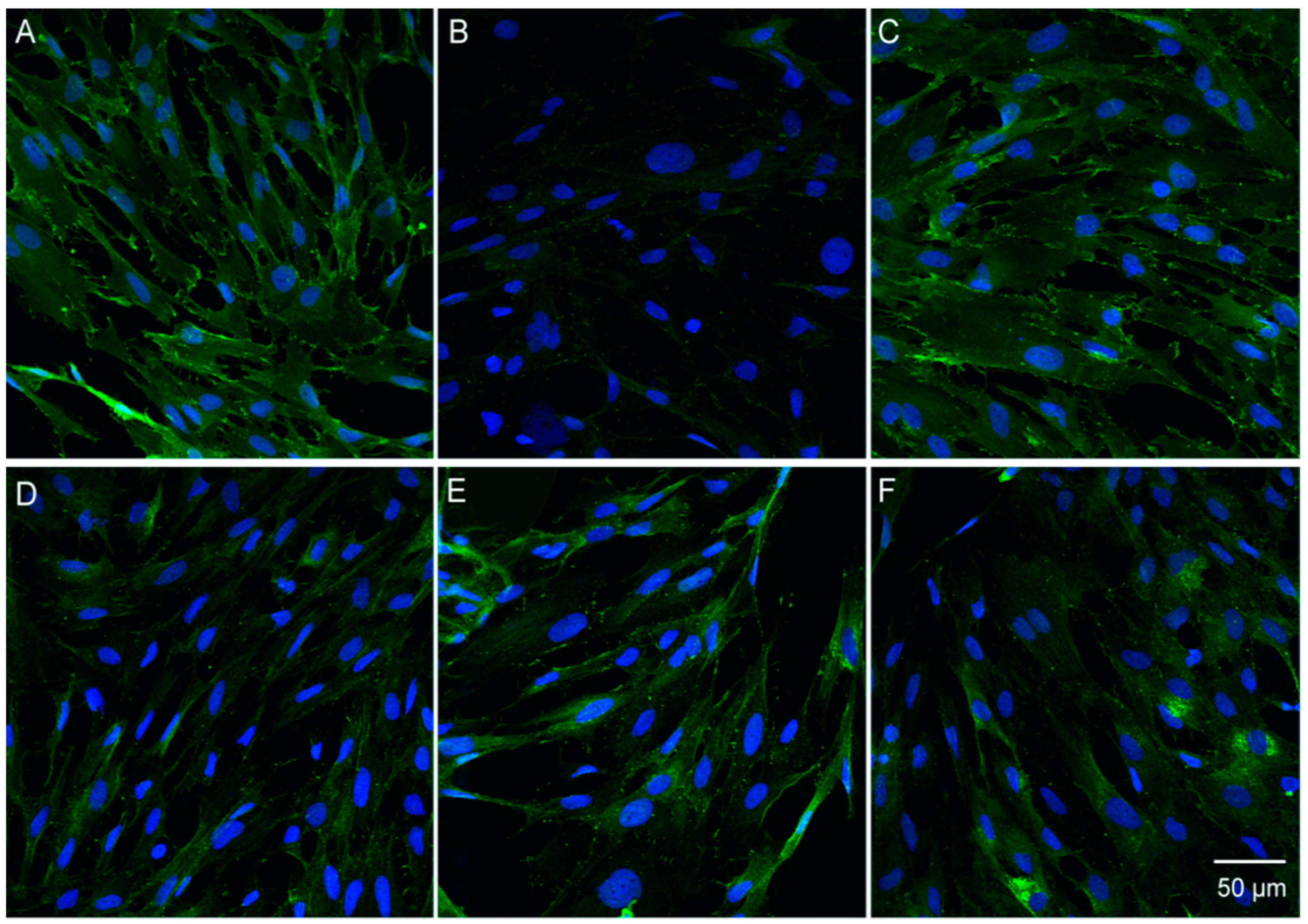 Molecules 23 02371 g008