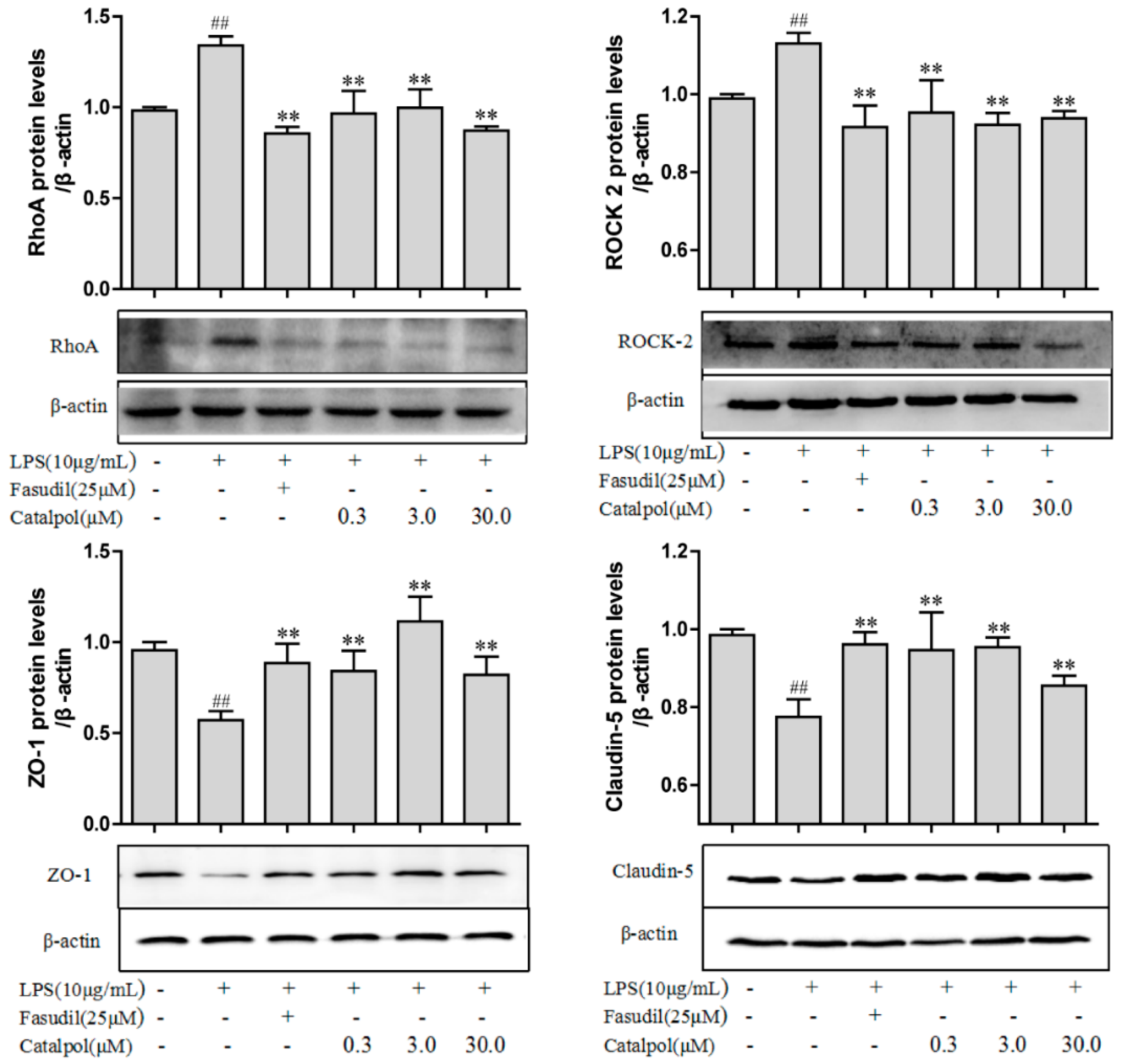 Molecules 23 02371 g010