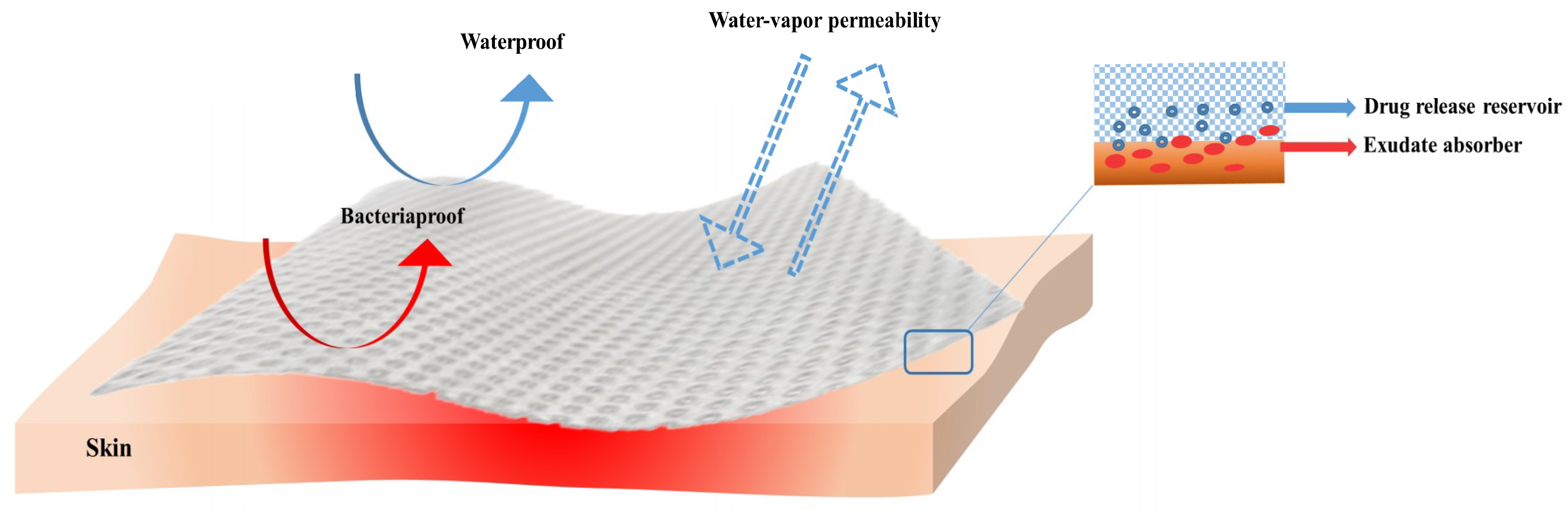 Molecules 23 02392 g003
