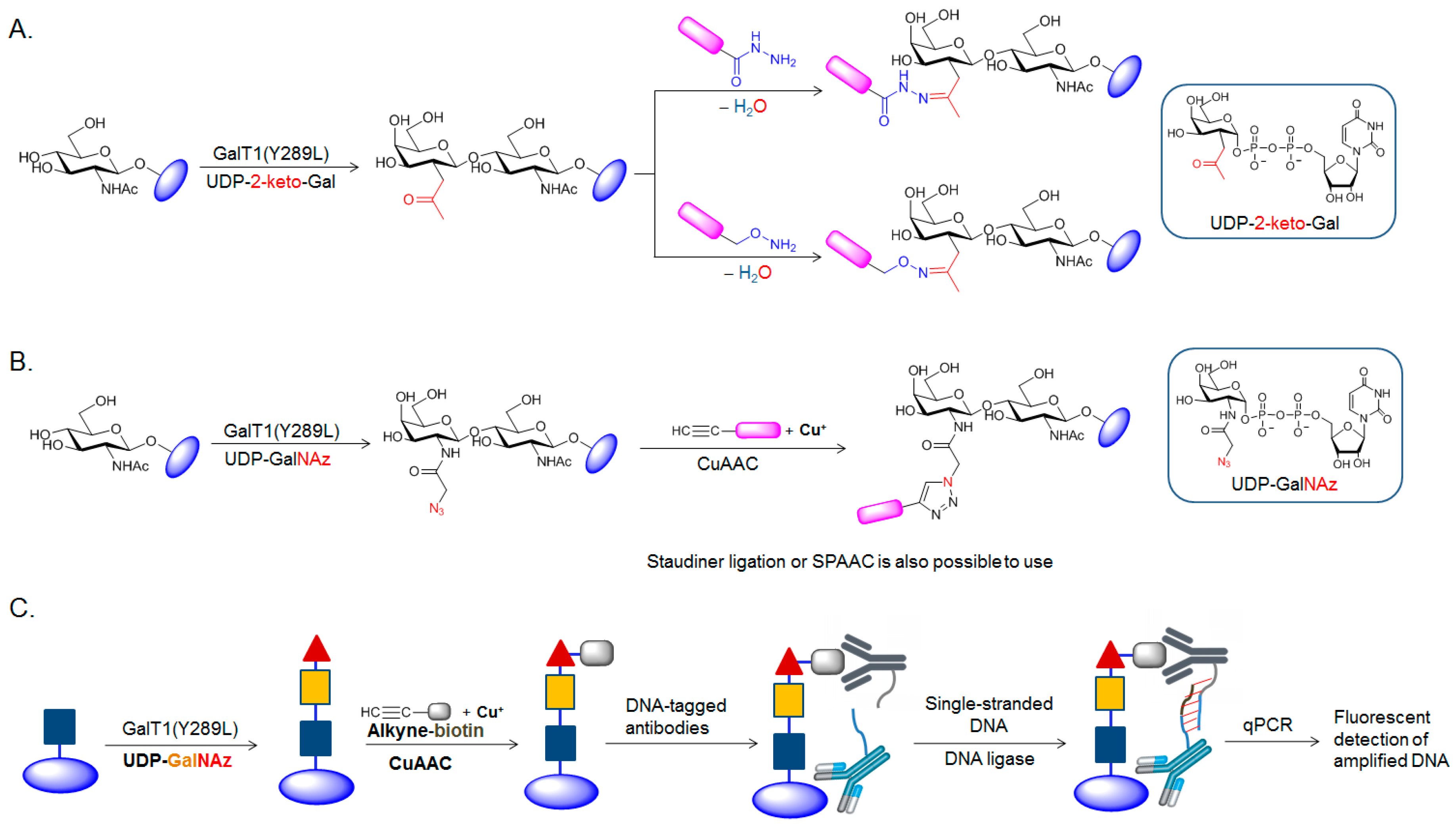 Molecules 23 02411 g006 Molecules 23 02411 g006