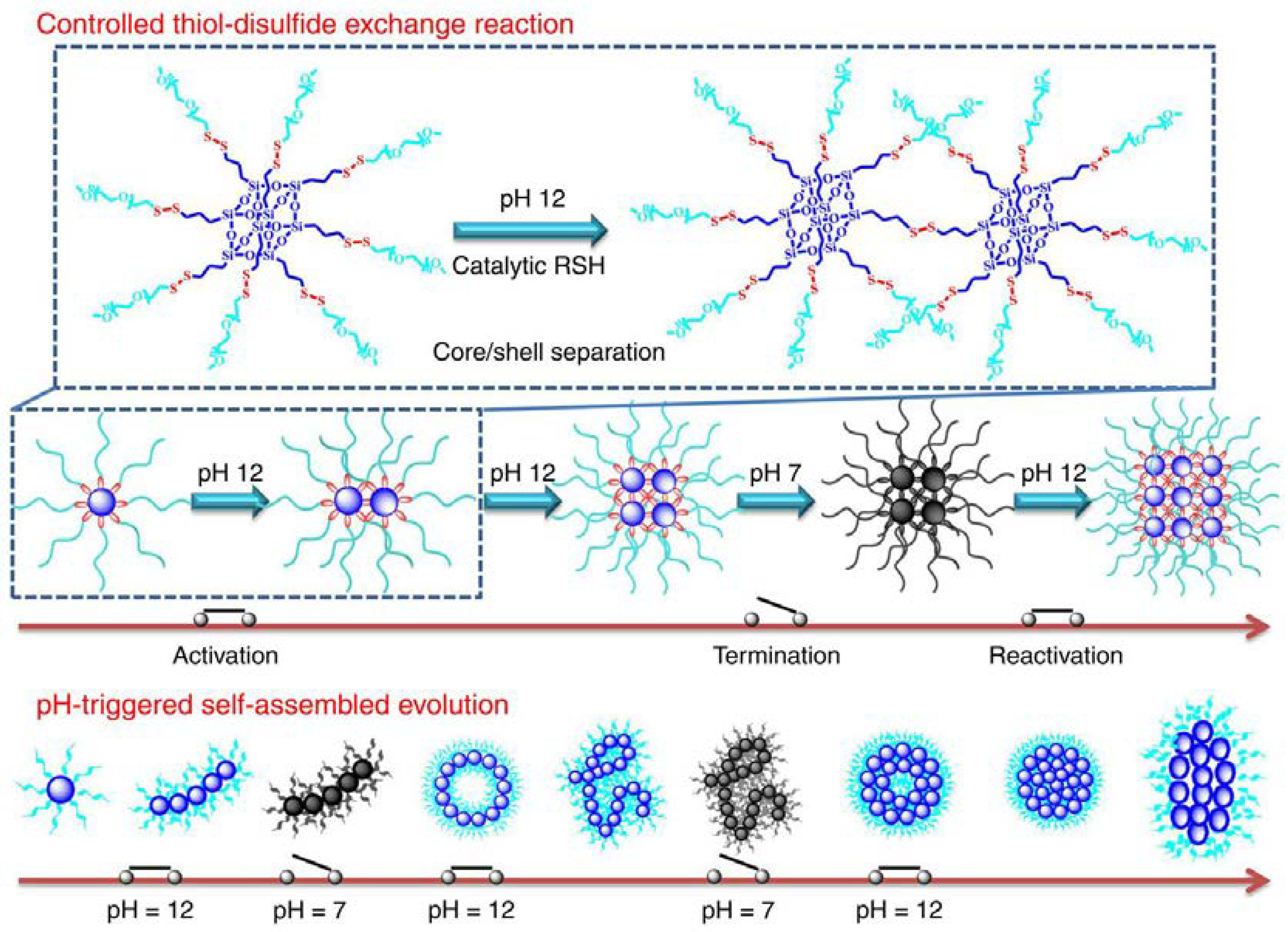 Molecules 23 02481 g002