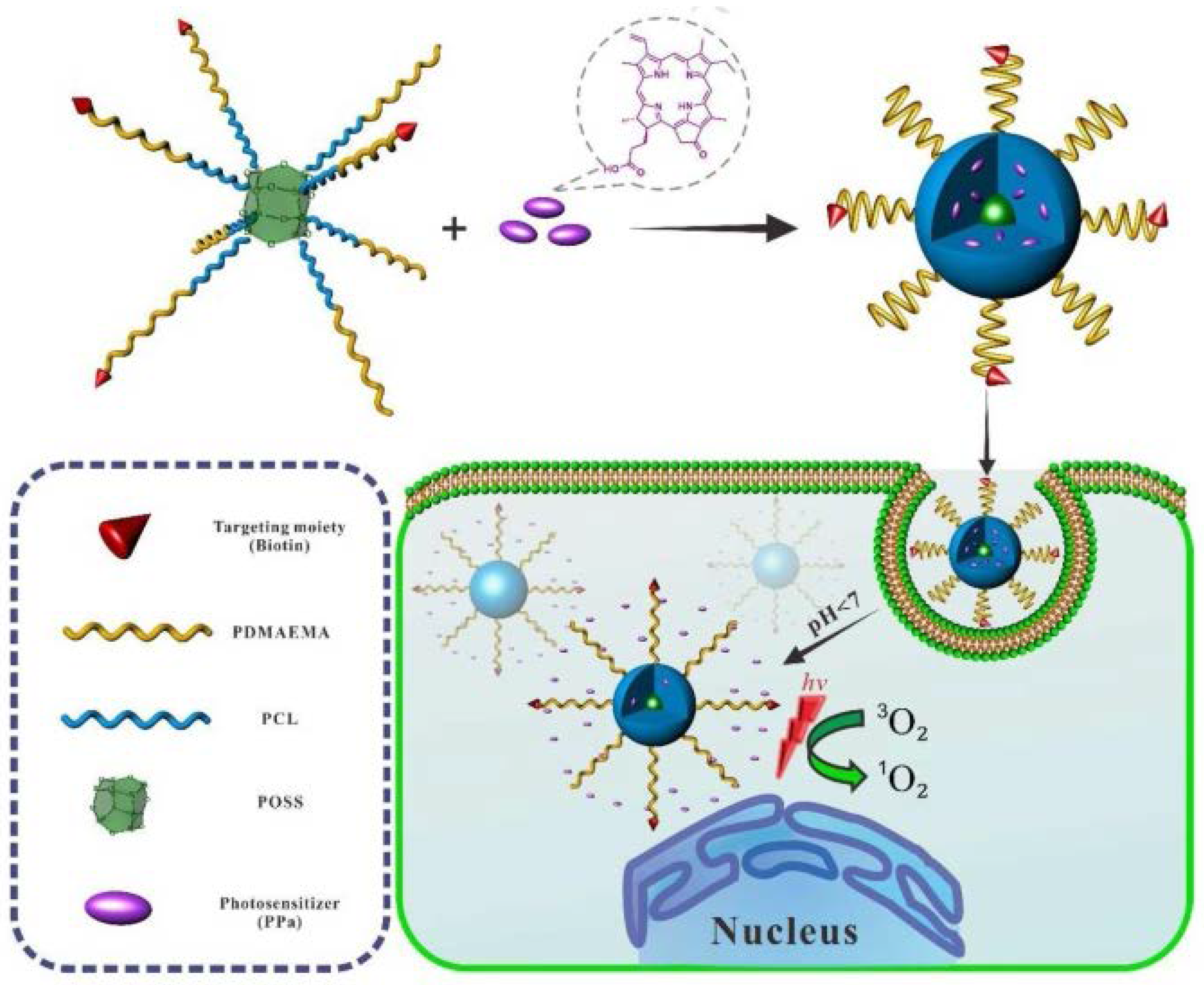 Molecules 23 02481 g015