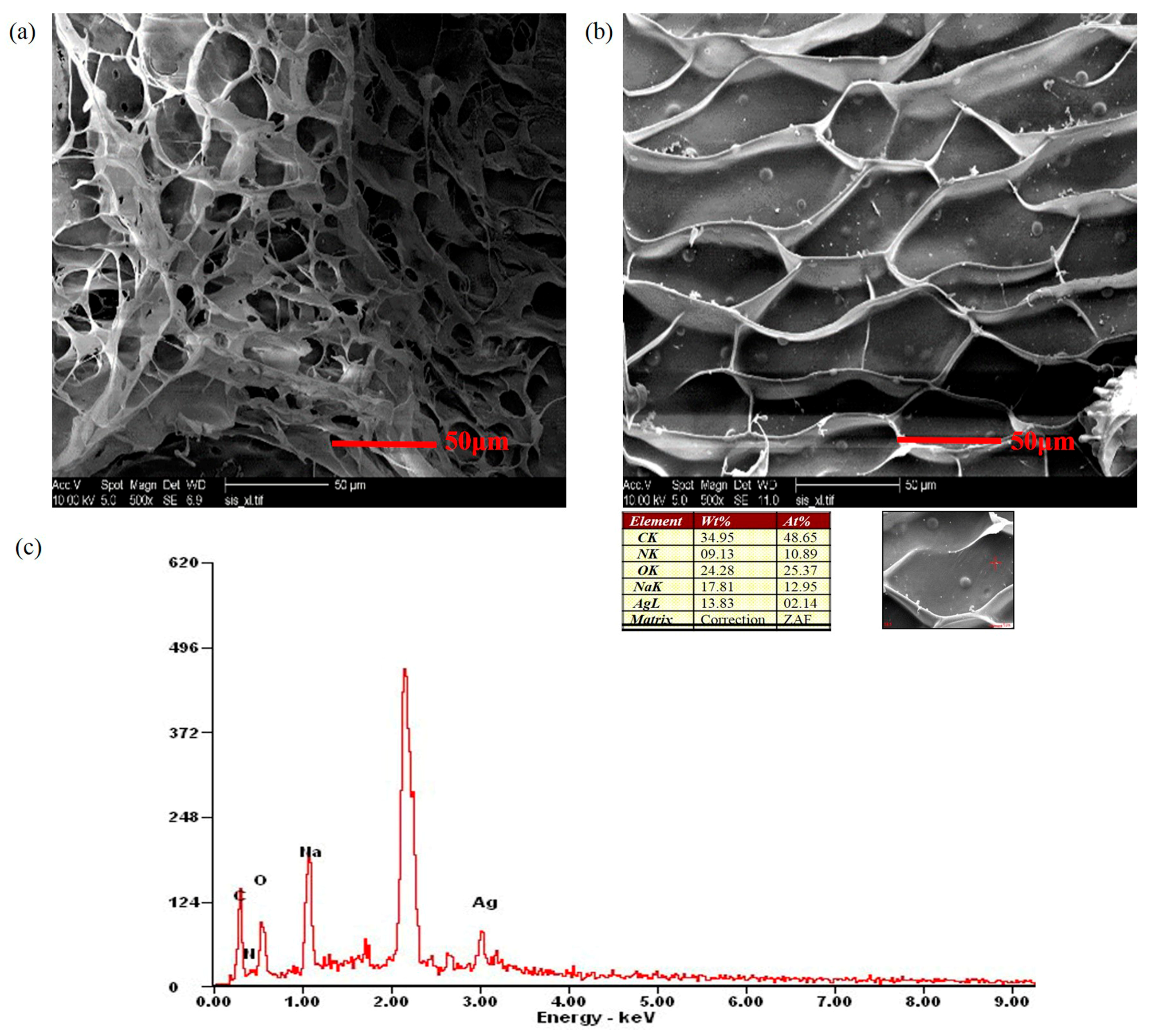 Molecules 23 02483 g006 Molecules 23 02483 g006
