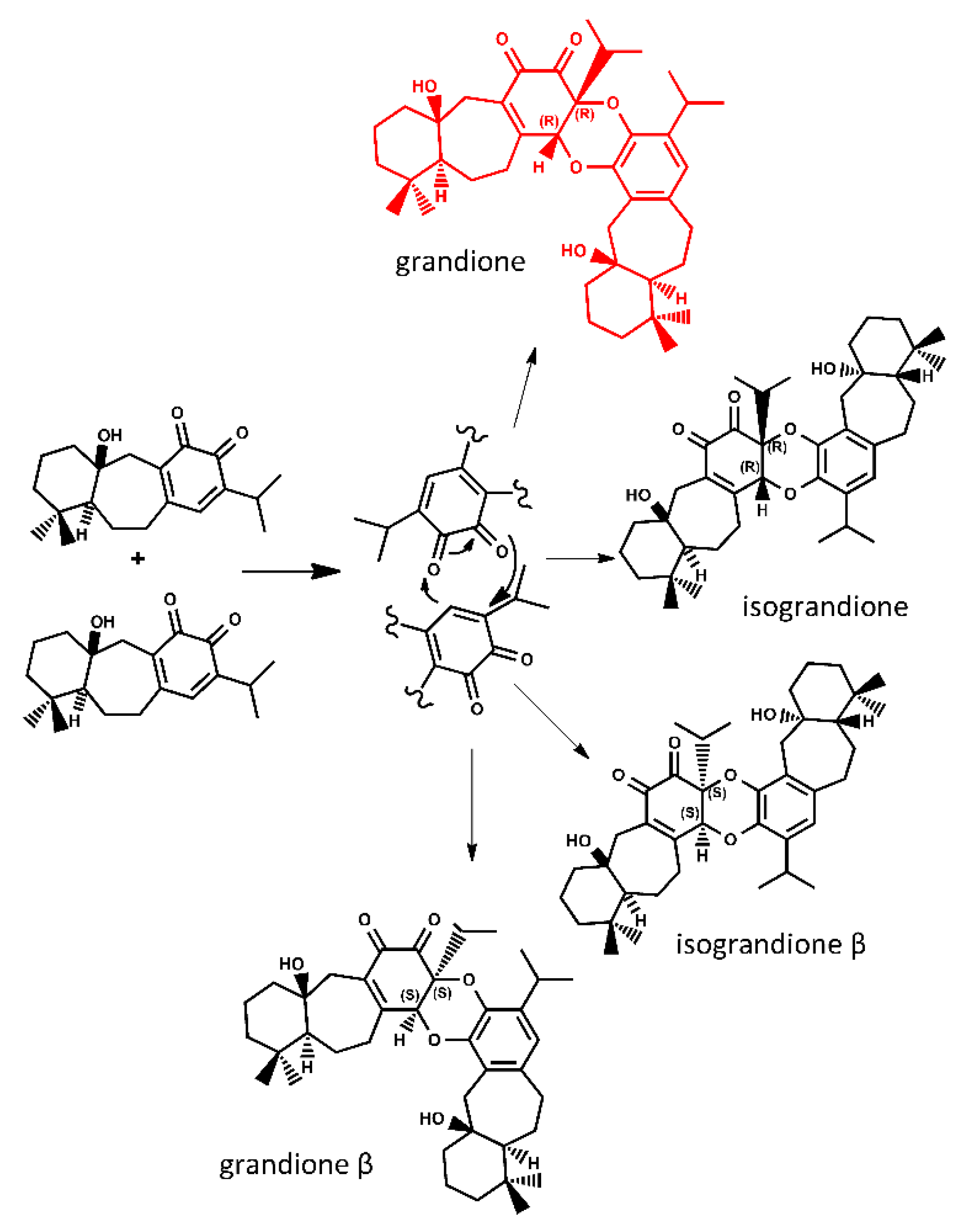Molecules | Free Full-Text | Biosynthesis of Grandione: An Example of  Tandem Hetero Diels-Alder/Retro-Claisen Rearrangement Reaction? | HTML