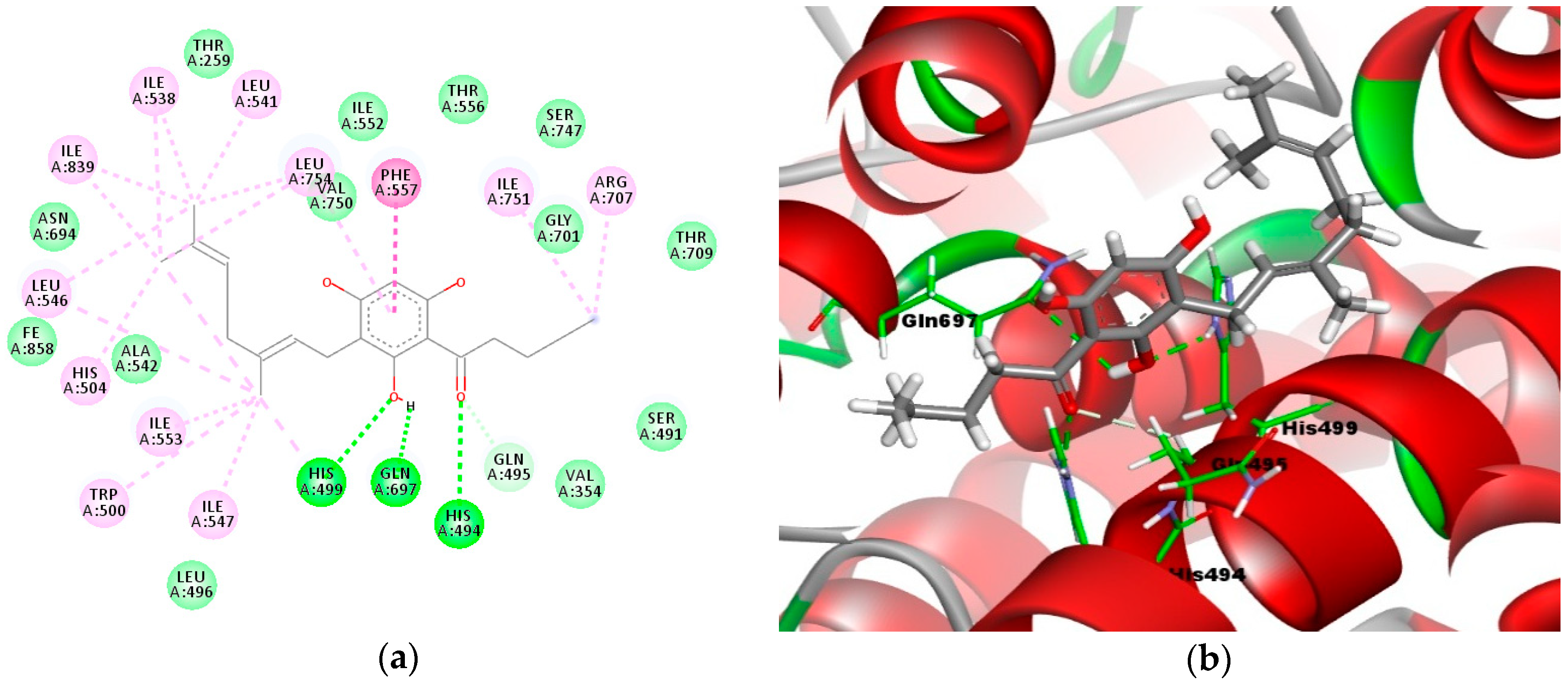 Molecules 23 02509 g004 Molecules 23 02509 g004