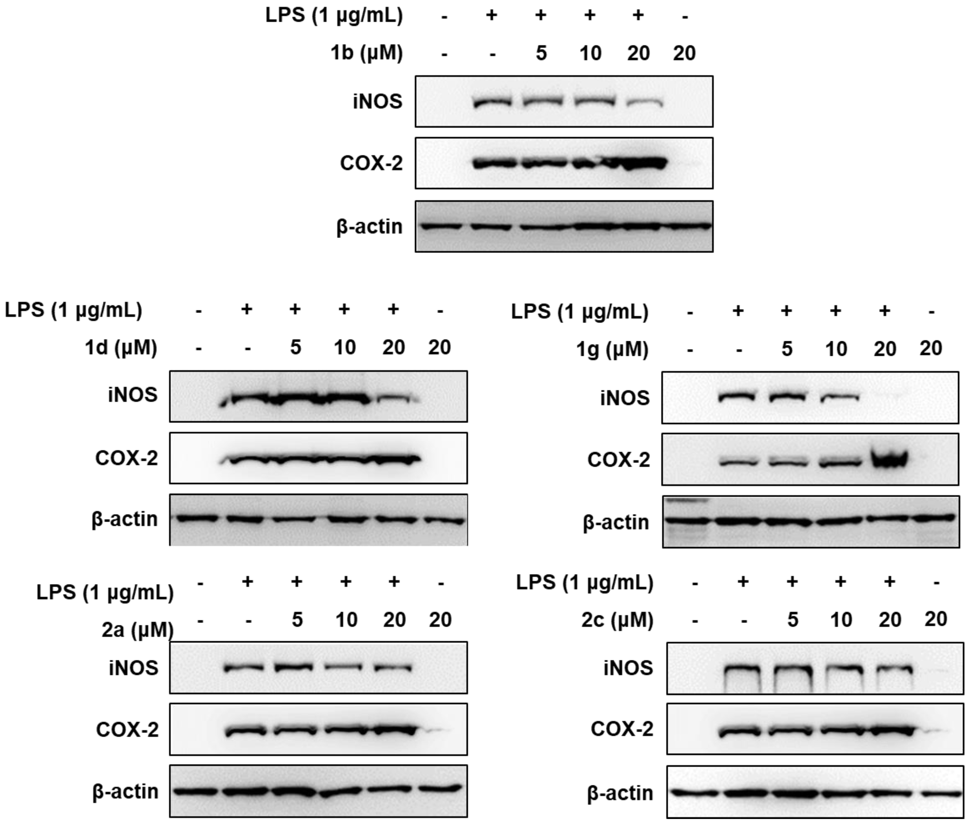 Molecules 23 02556 g003 Molecules 23 02556 g003