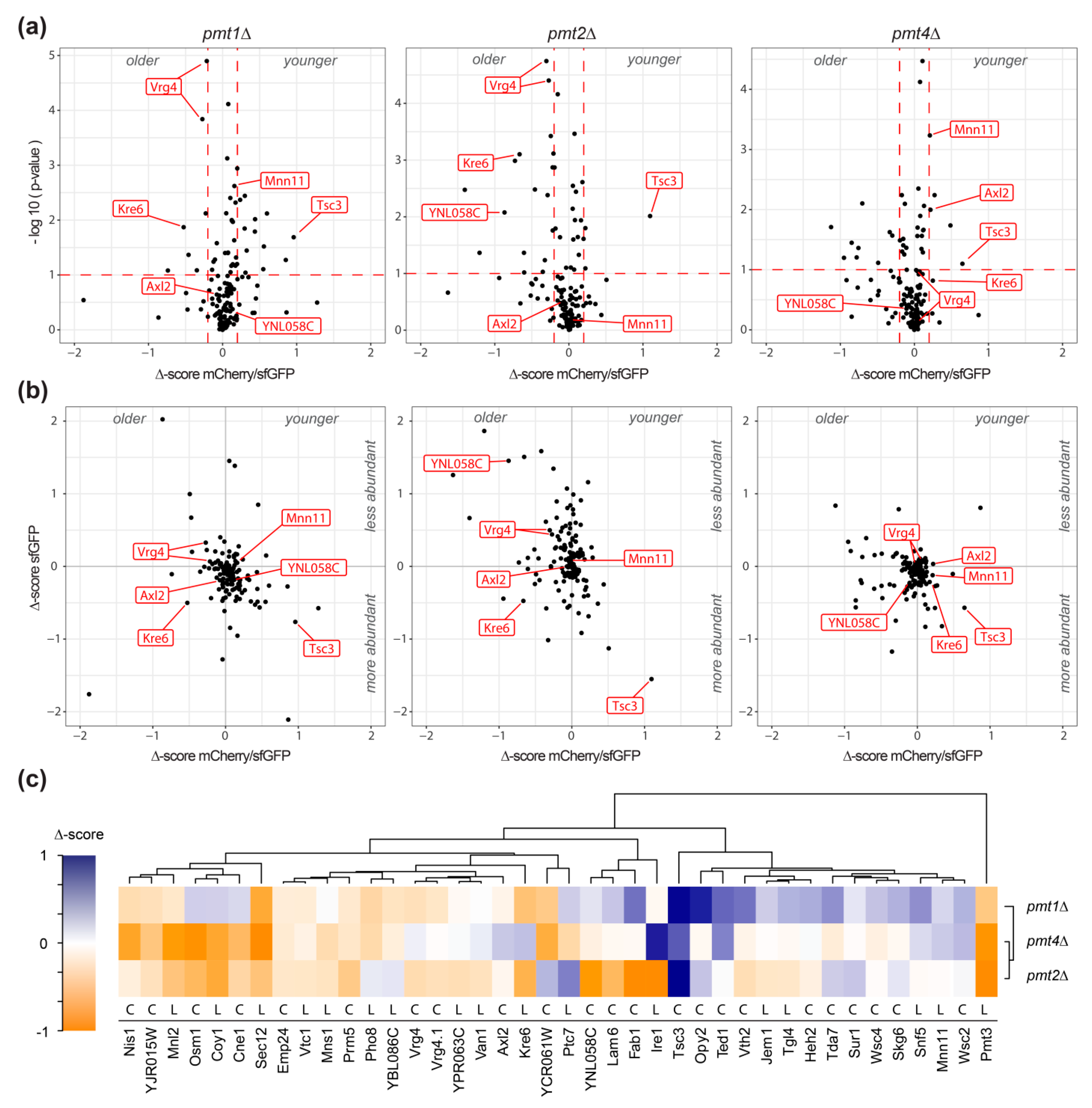 Molecules 23 02622 g002