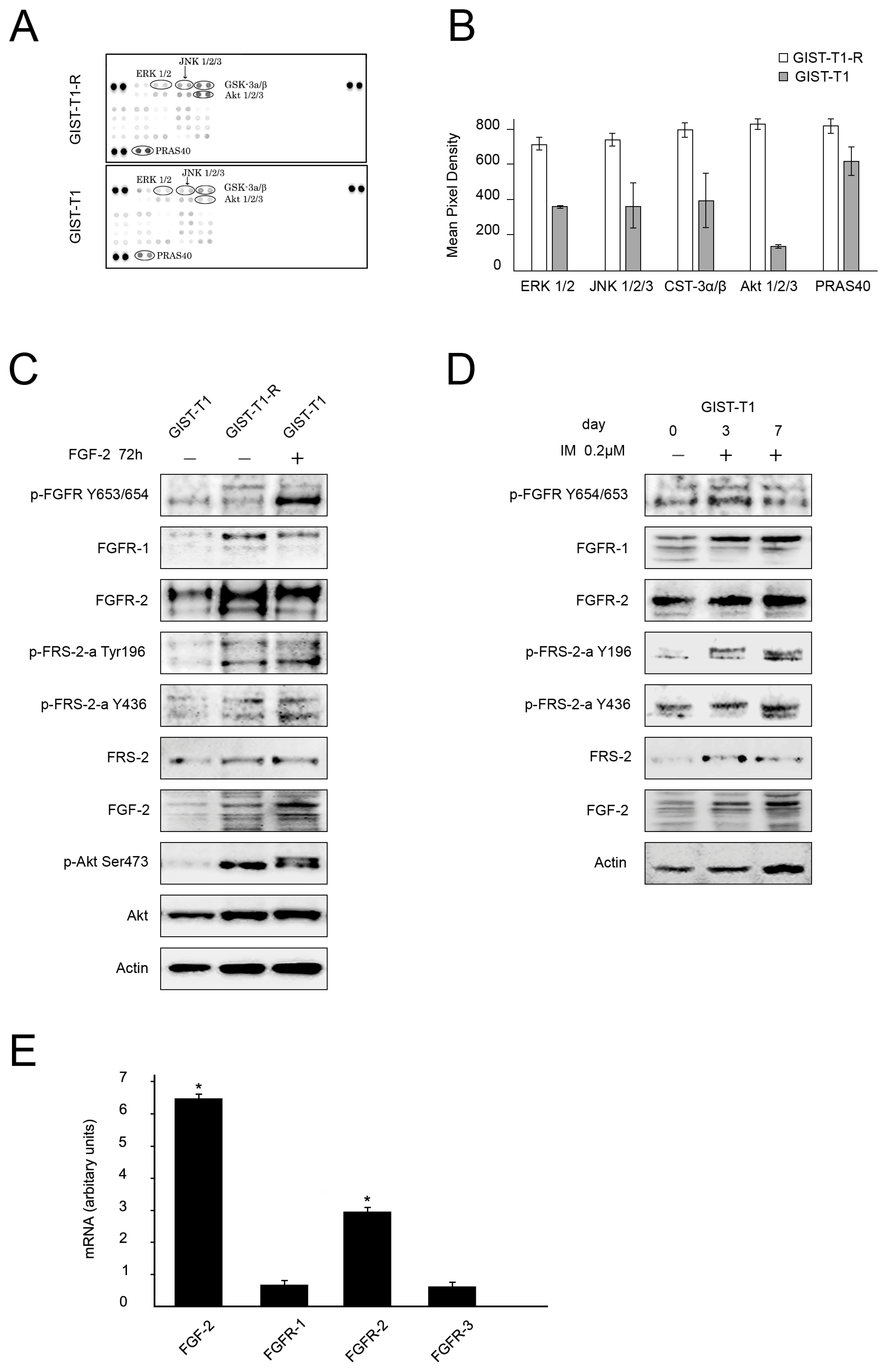 Molecules 23 02643 g001 Molecules 23 02643 g001