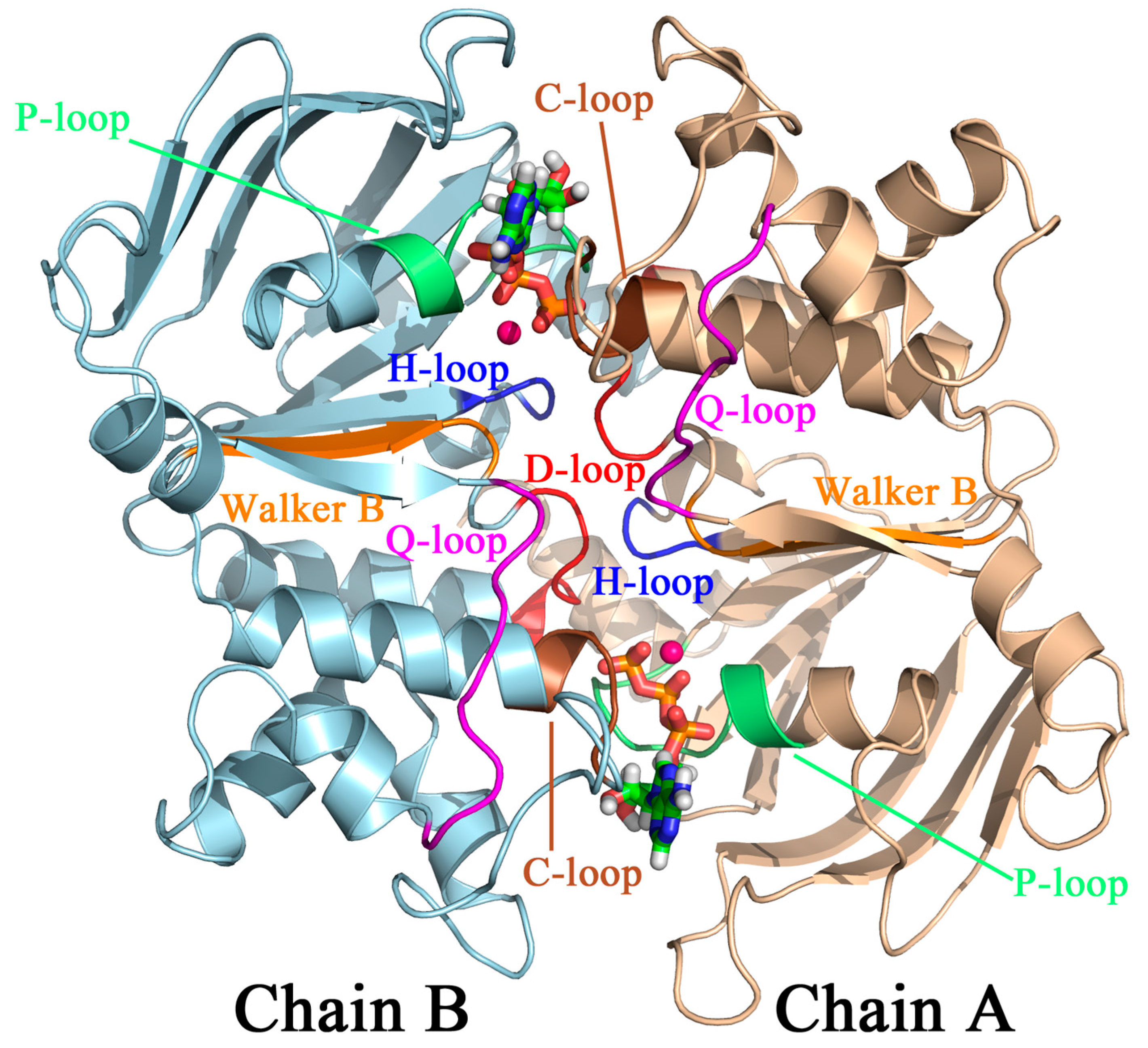 Molecules 23 02652 g001 Molecules 23 02652 g001