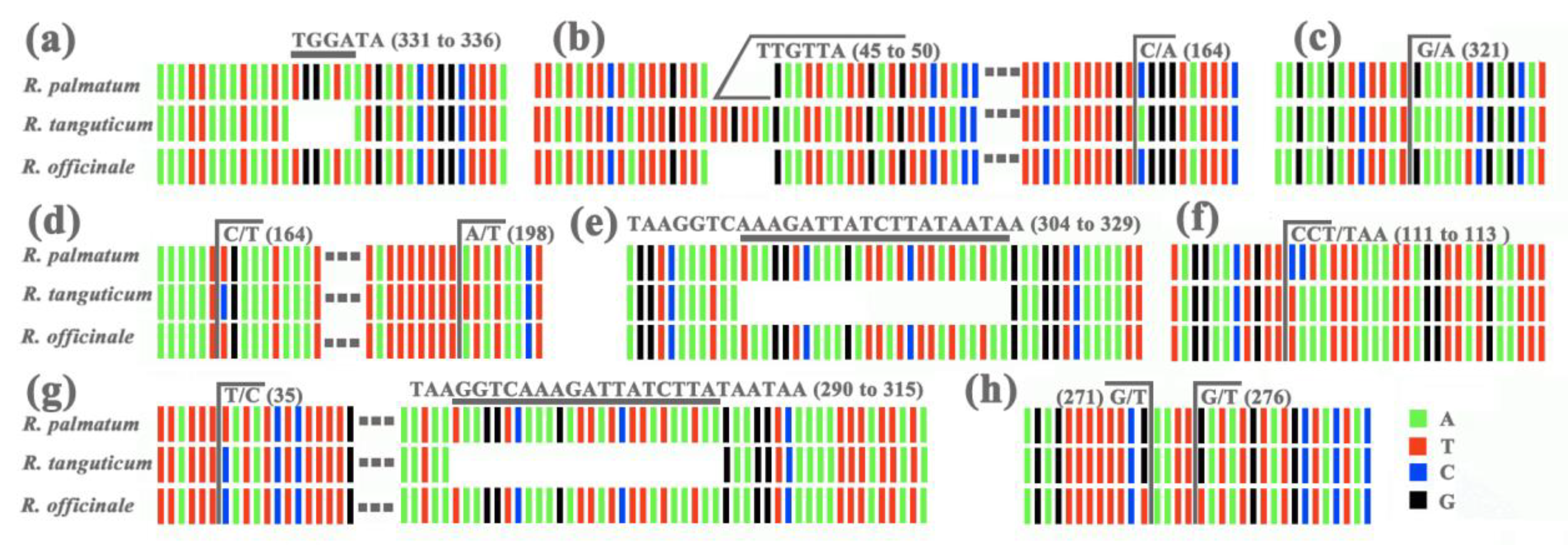 Molecules Free Full Text Comparative Chloroplast Genome Analysis Of Rhubarb Botanical Origins And The Development Of Specific Identification Markers Html