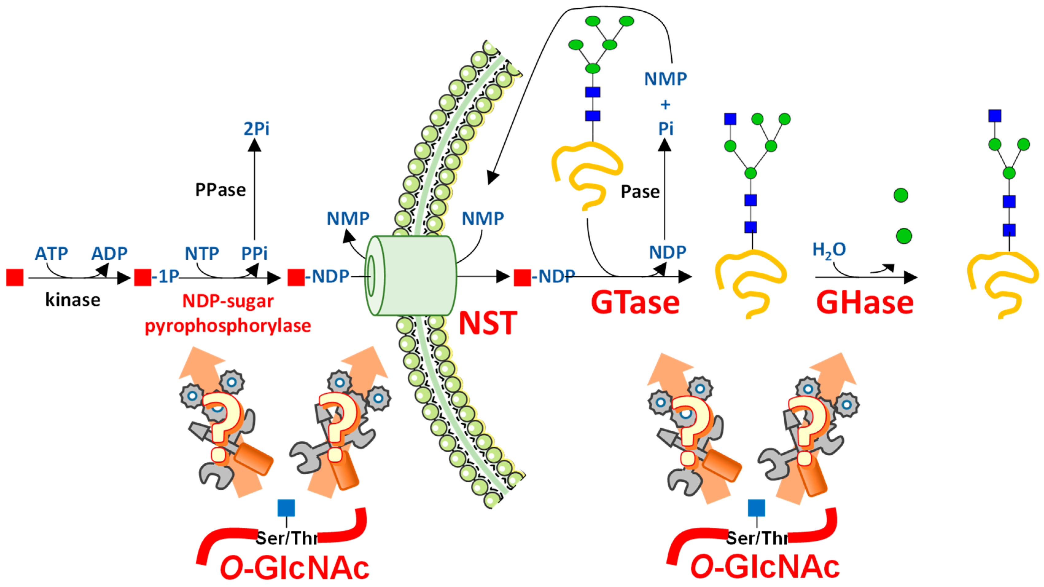 Molecules 23 02858 g002