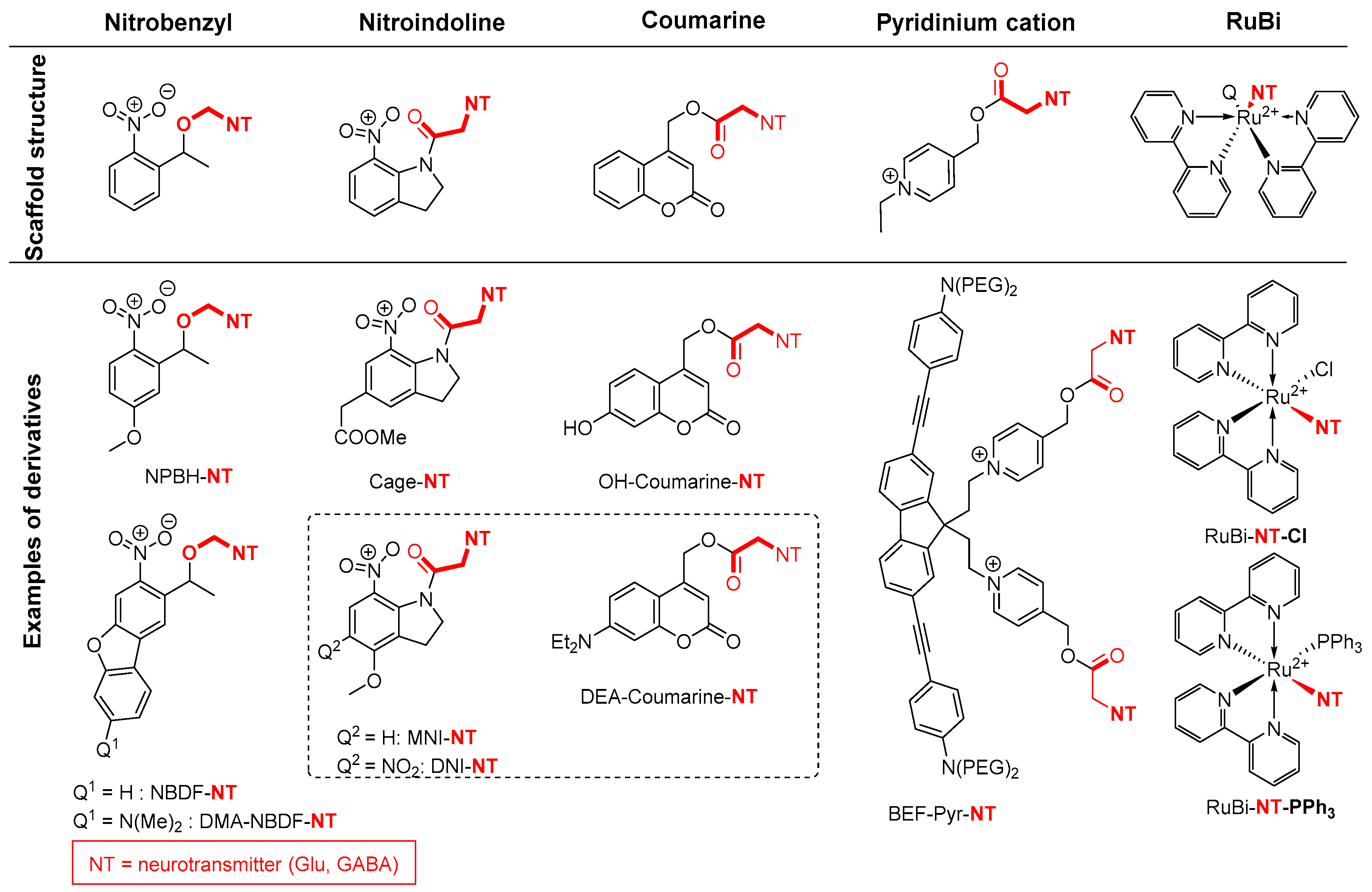 Molecules 23 02859 g022
