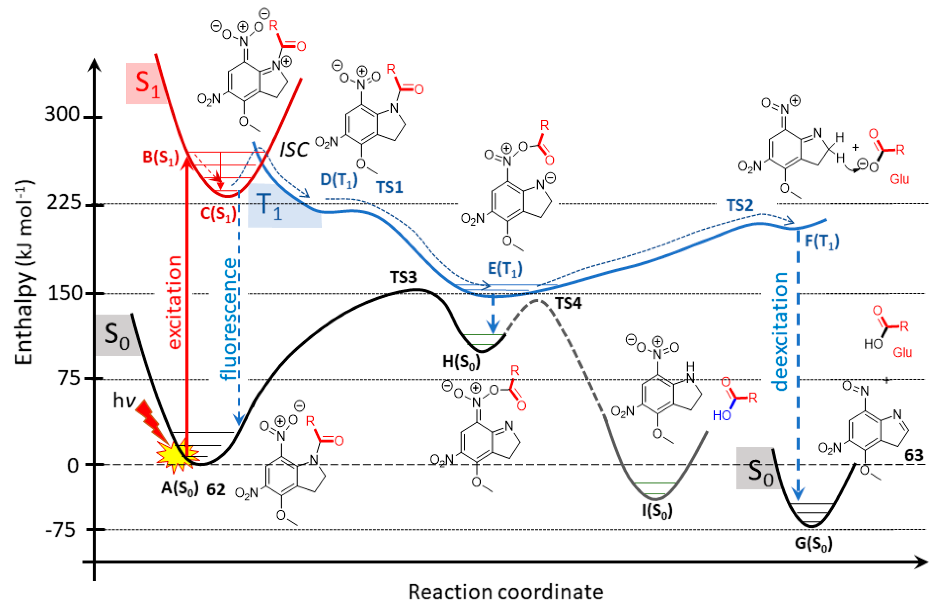 Molecules 23 02859 g025