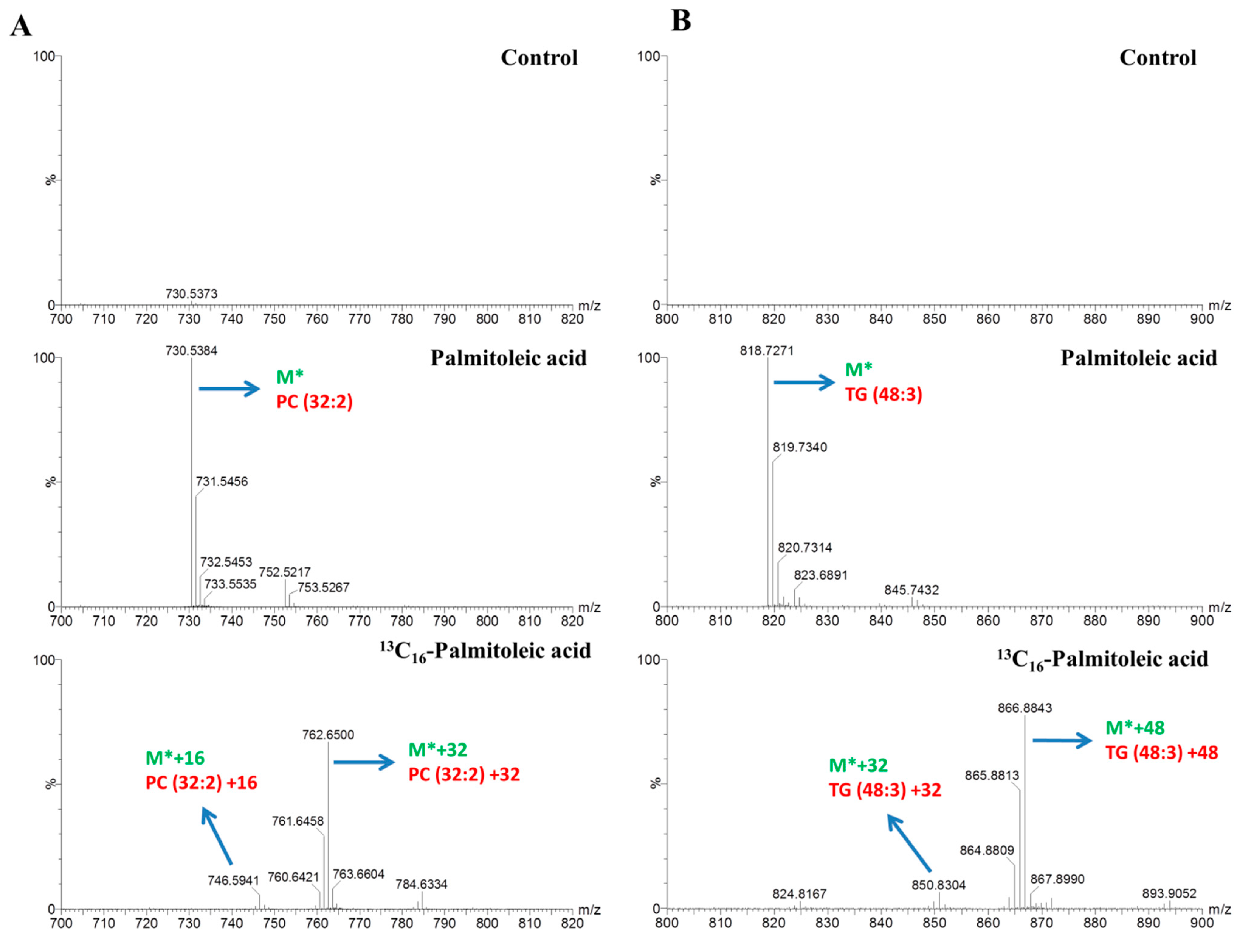 Molecules 23 02862 g003