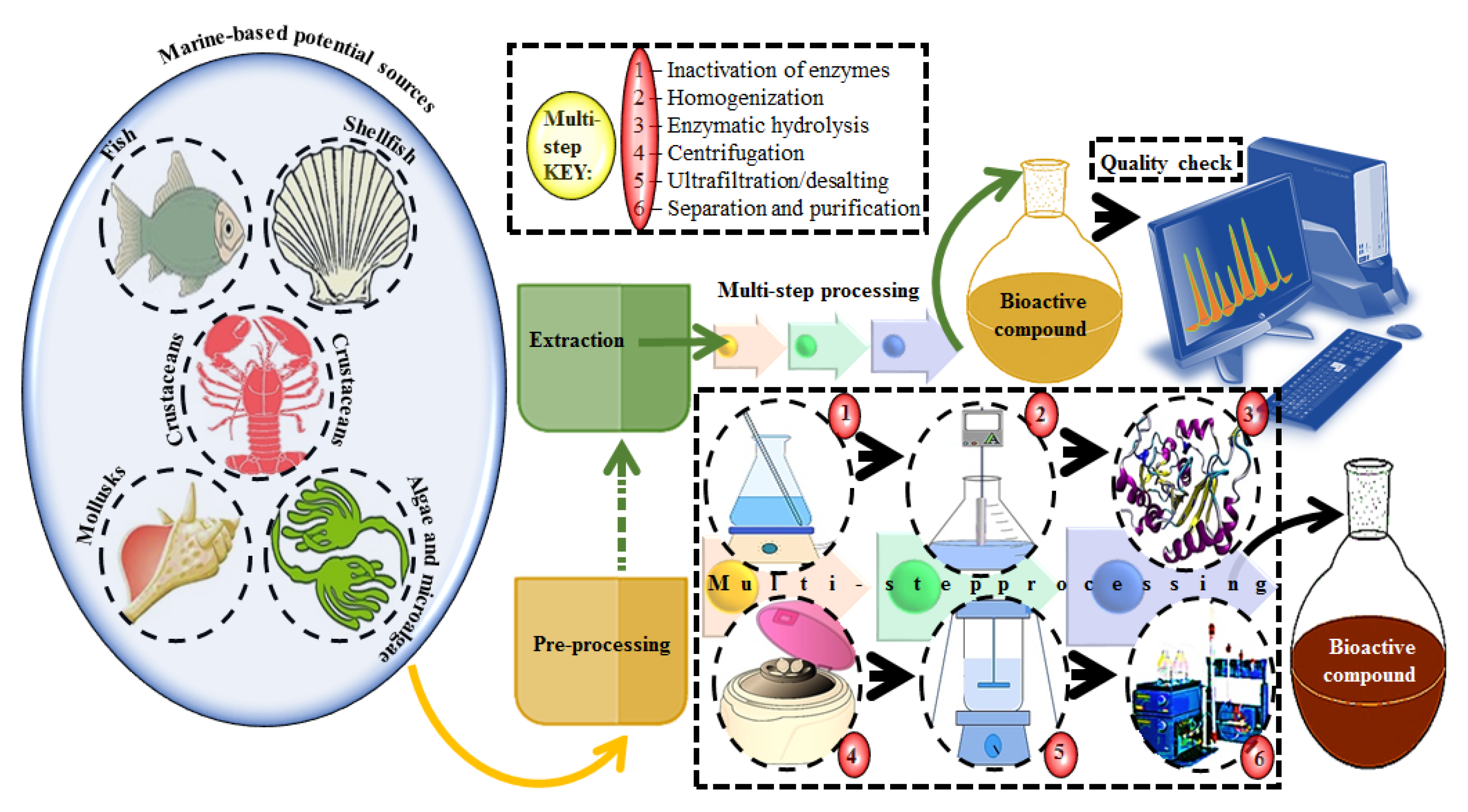 Environmental life cycle assessment of cascade valorisation strategies of  South African macroalga Ecklonia maxima using green extraction technologies  - ScienceDirect