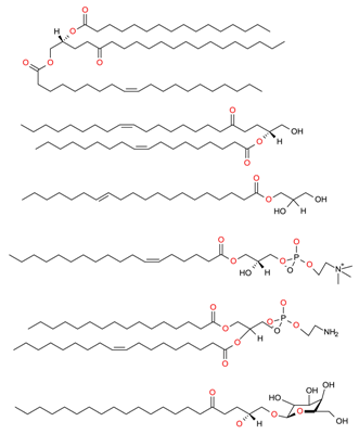 Molecules | Free Full-Text | State-of-the-Art Extraction Methodologies ...