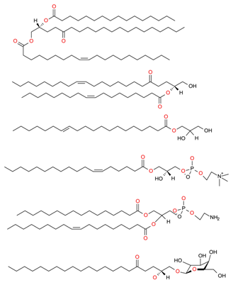 Molecules | Free Full-Text | State-of-the-Art Extraction Methodologies ...