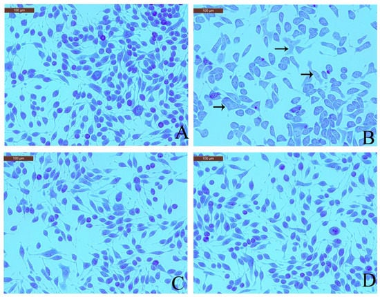 Molecules November 2018 Browse Articles Images, Photos, Reviews