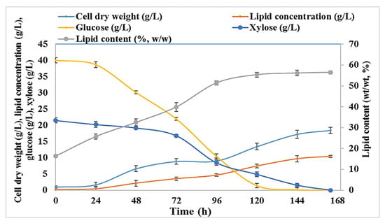 Molecules Free Full Text Valorization Of Brewers Spent Grain For The Production Of Lipids By Oleaginous Yeast Html