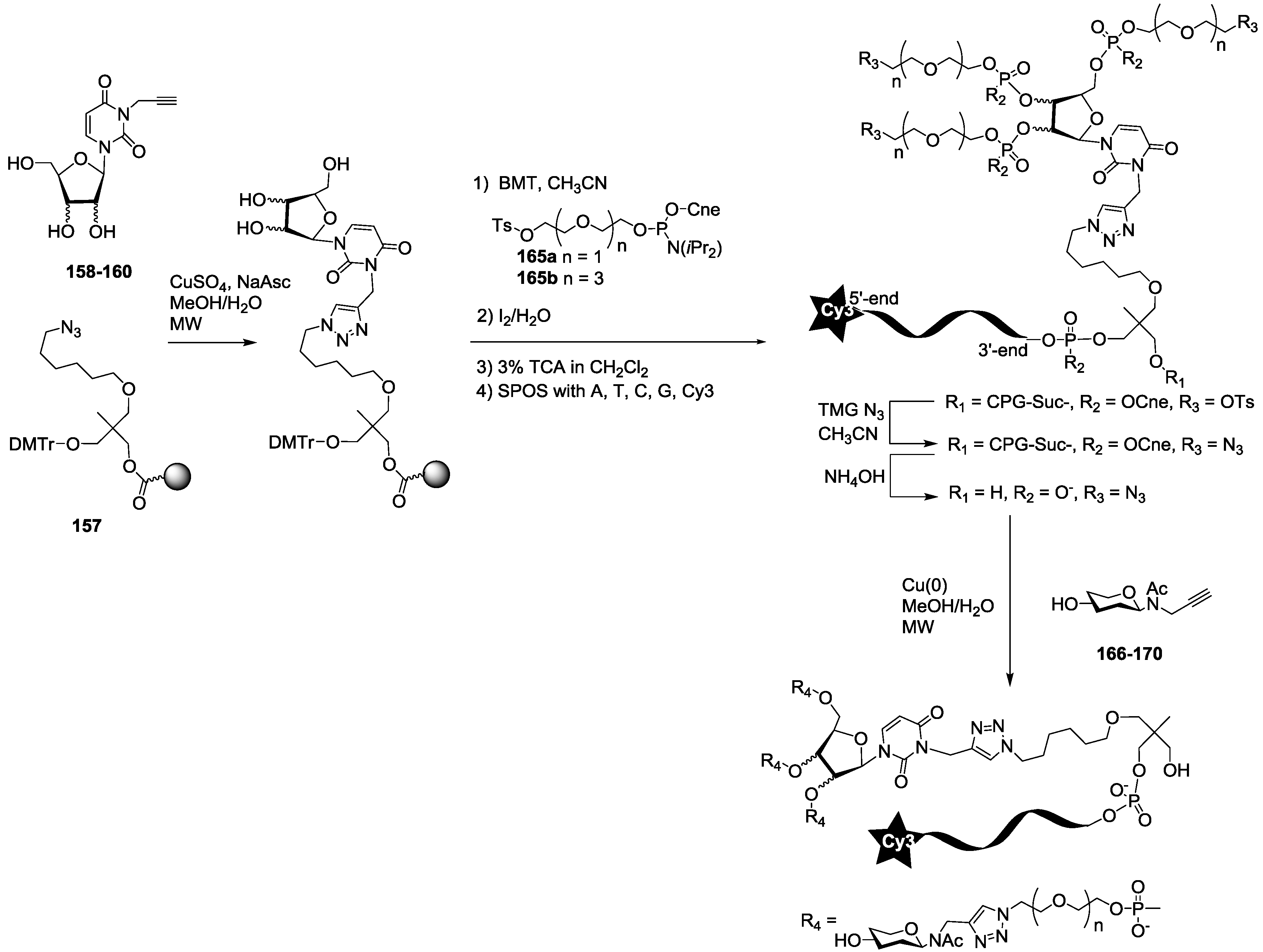 Molecules Free Full Text Screening Of A Library Of Oligosaccharides Targeting Lectin Lecb Of Pseudomonas Aeruginosa And Synthesis Of High Affinity Oligoglycoclusters Html