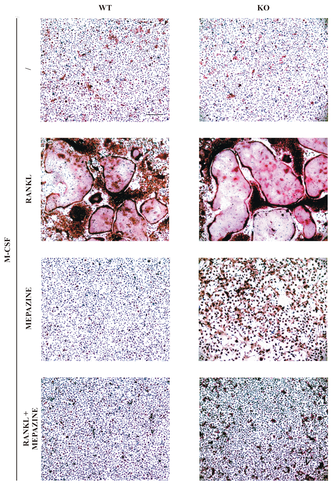 Molecules 23 03144 g001