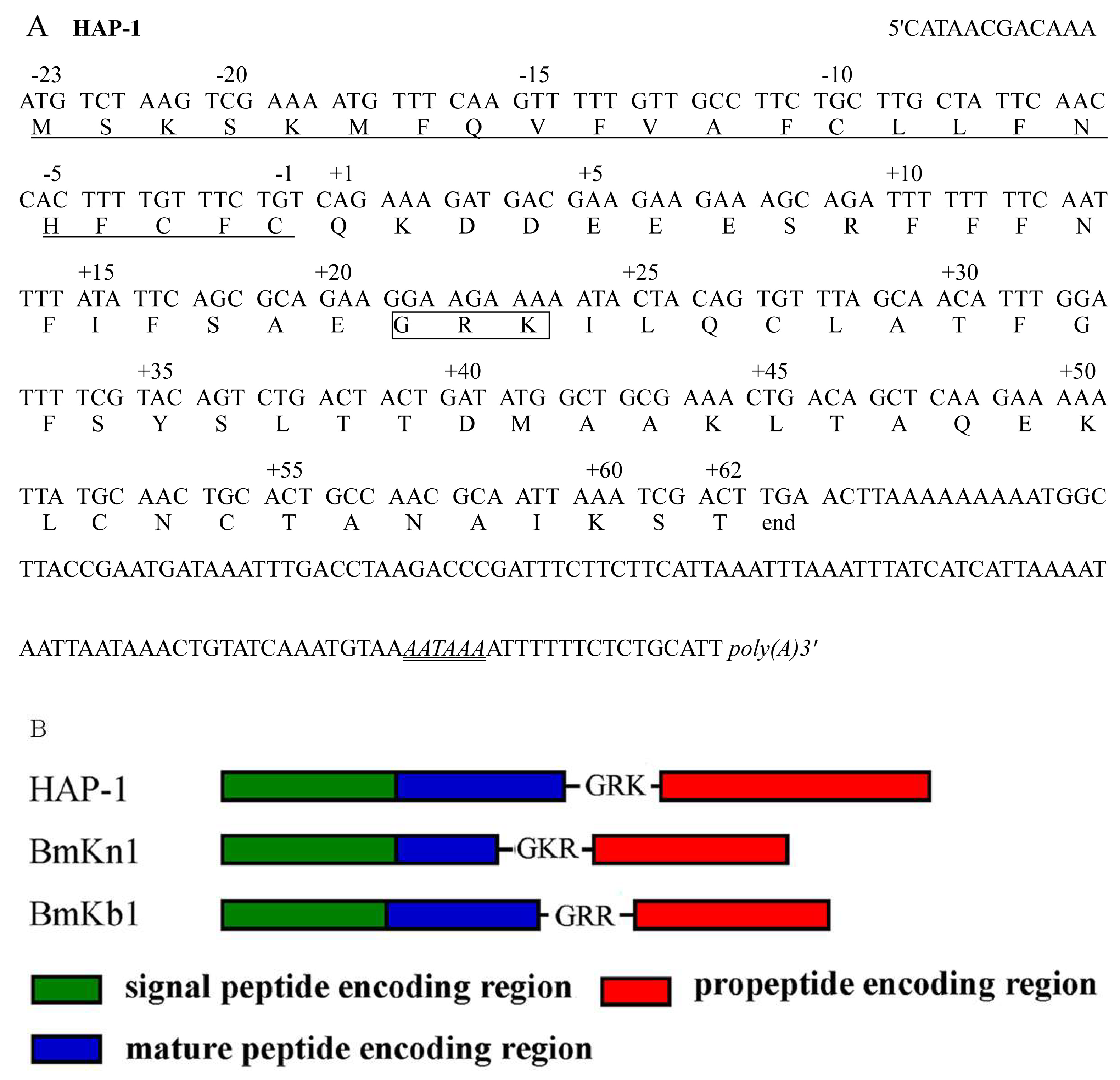 Molecules 23 03314 g001