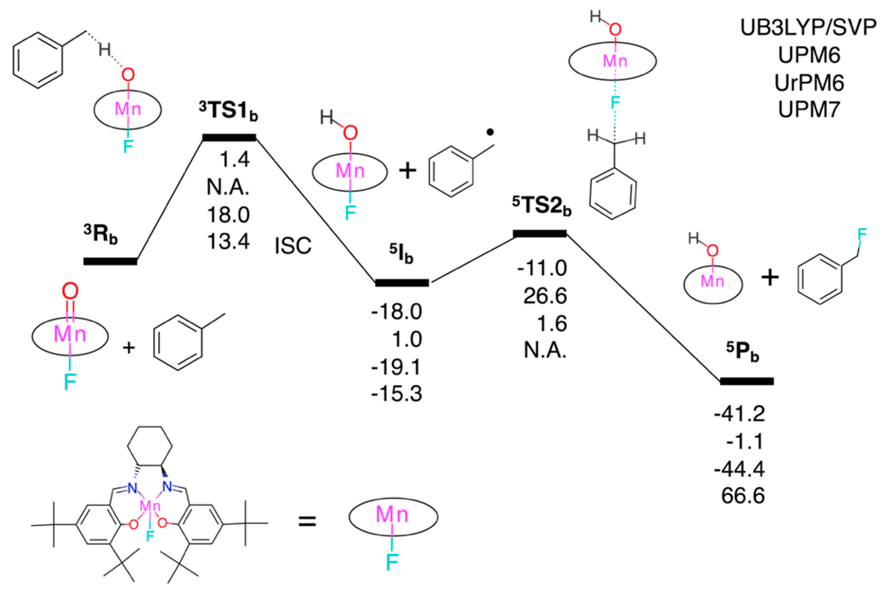 Molecules 23 03332 g004 Molecules 23 03332 g004
