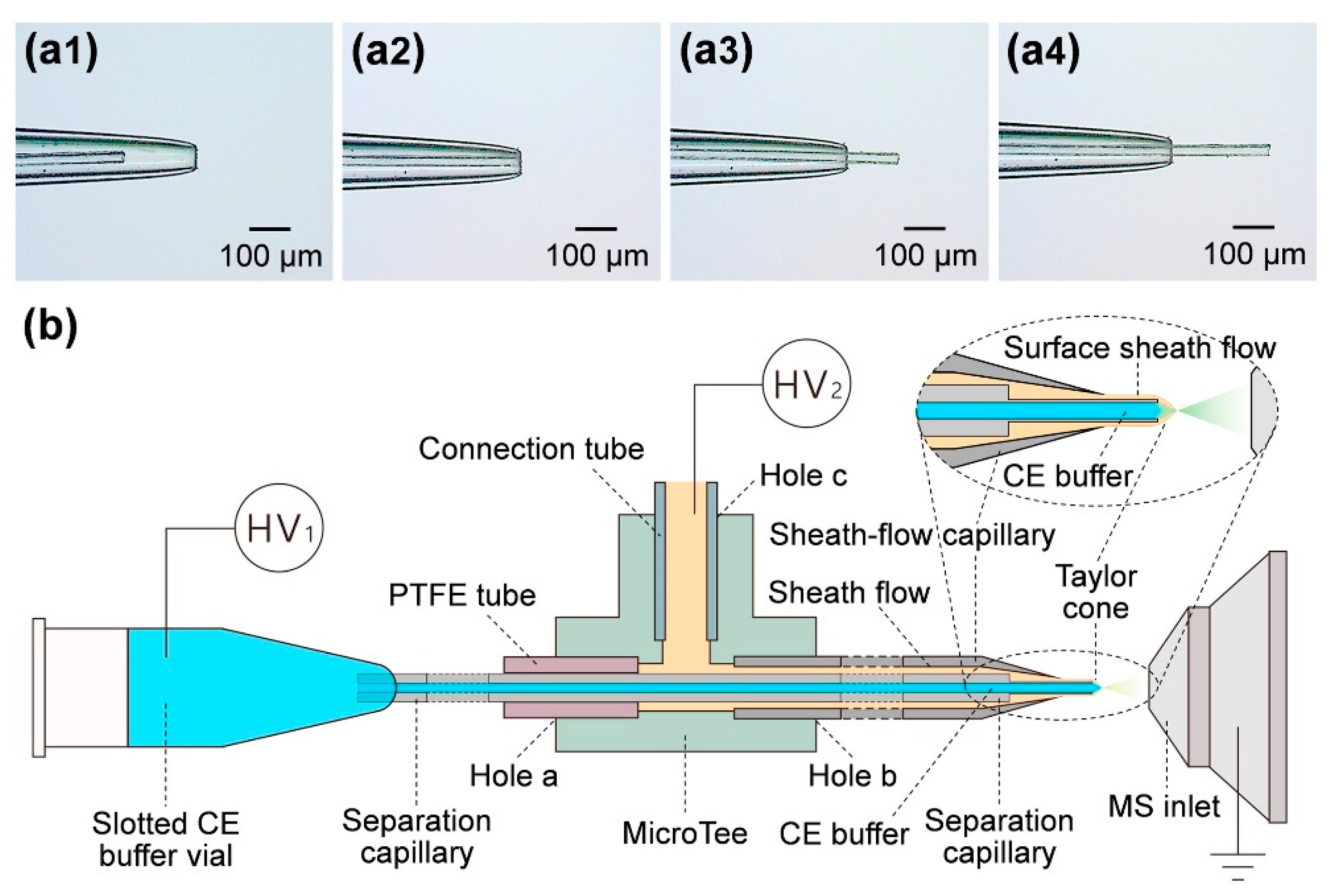 nanoCEasy: An Easy, Flexible, and Robust Nanoflow Sheath Liquid Capillary  Electrophoresis-Mass Spectrometry Interface Based on 3D Printed Parts