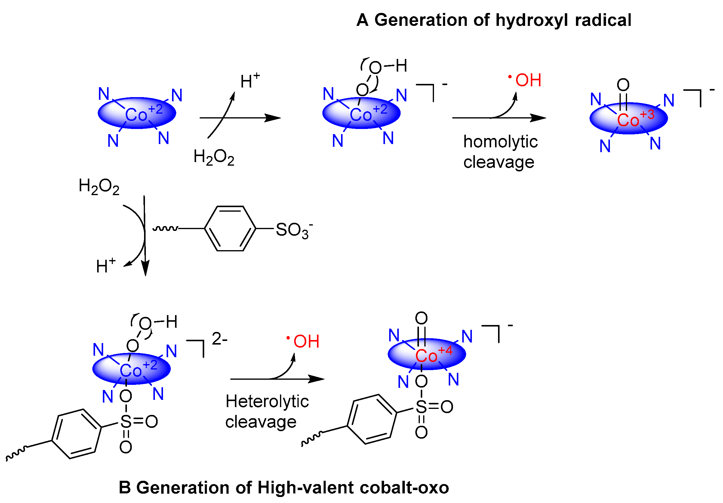 Molecules 24 00078 g002